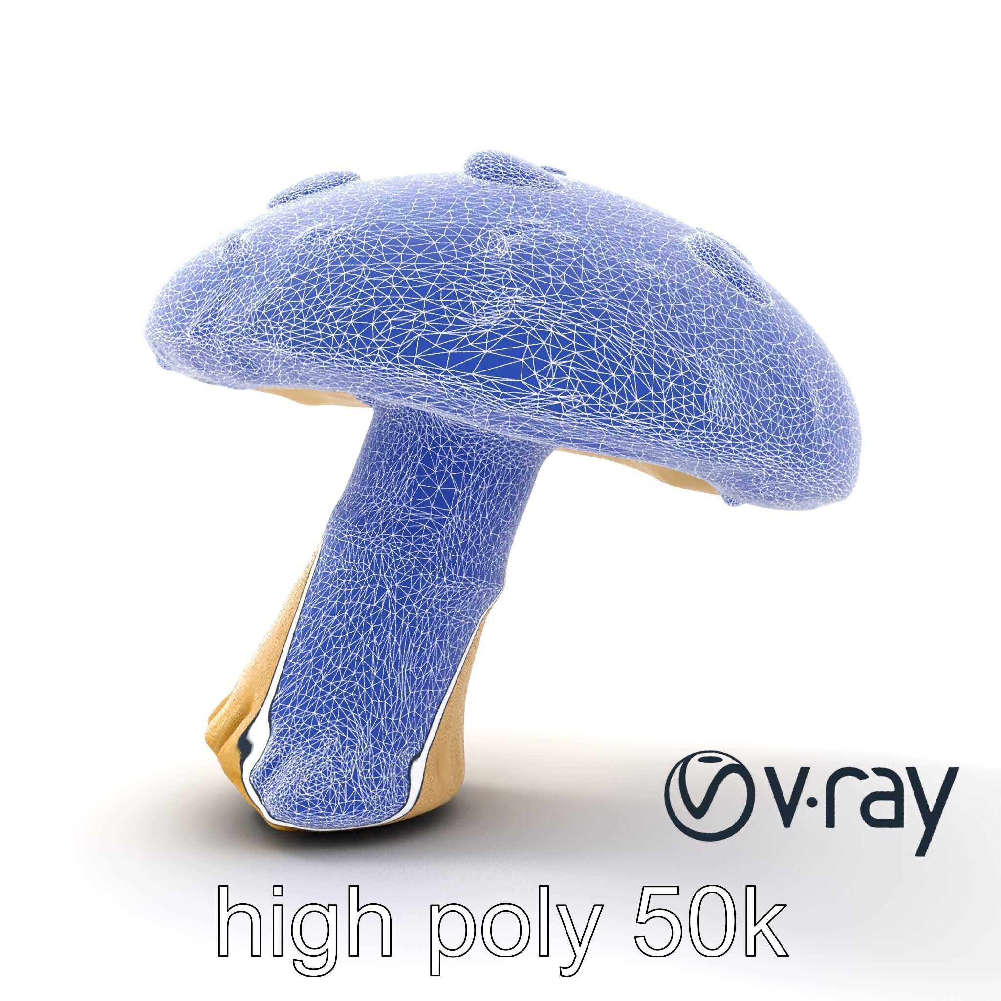 Fairy Tale Toadstool Mushroom model pack Low-poly 3D model_32