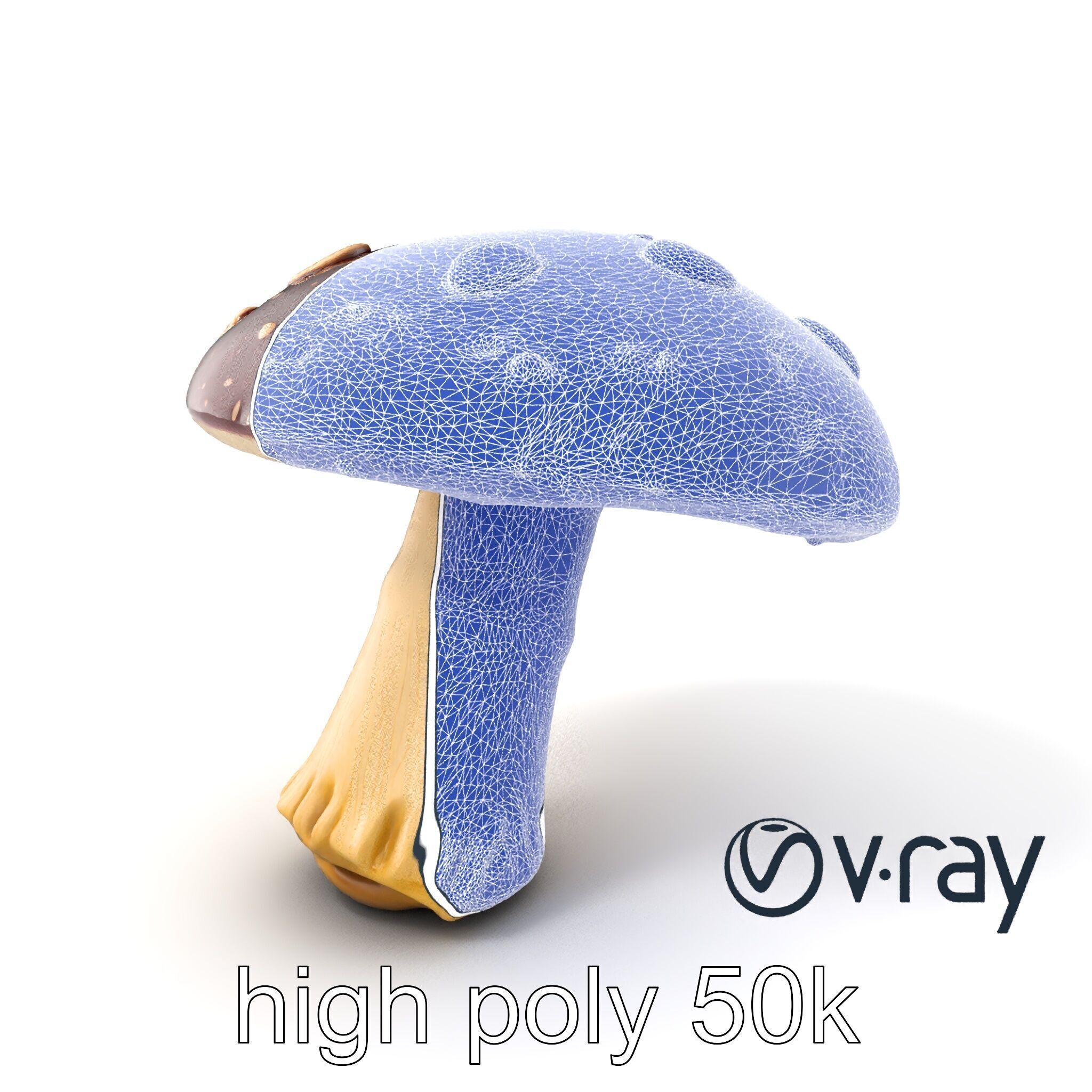 Fairy Tale Toadstool Mushroom model pack Low-poly 3D model_10