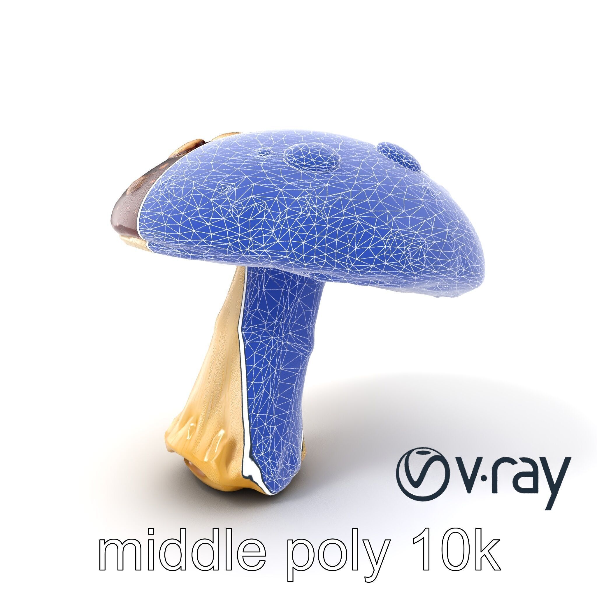 Fairy Tale Toadstool Mushroom model pack Low-poly 3D model_31