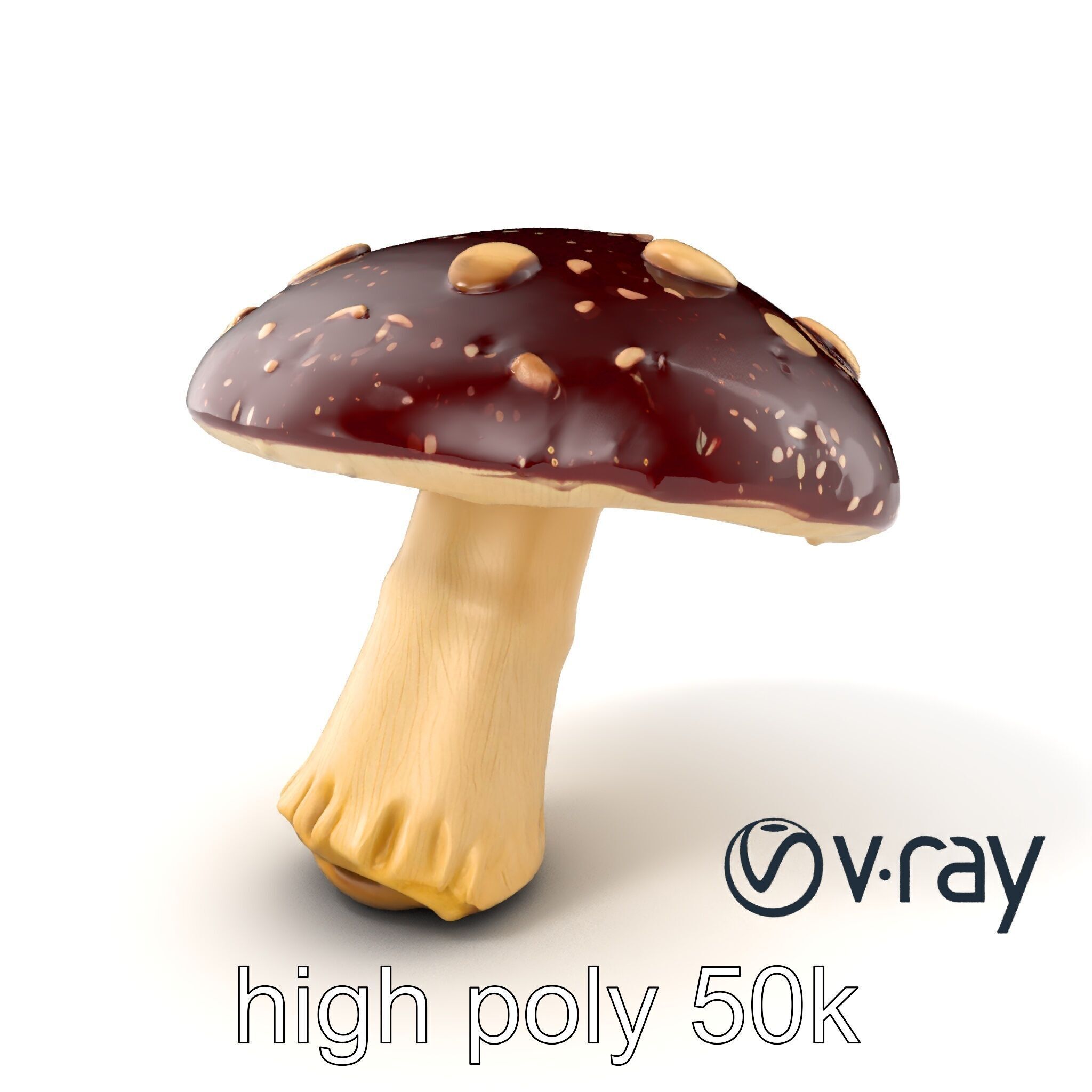 Fairy Tale Toadstool Mushroom model pack Low-poly 3D model_7