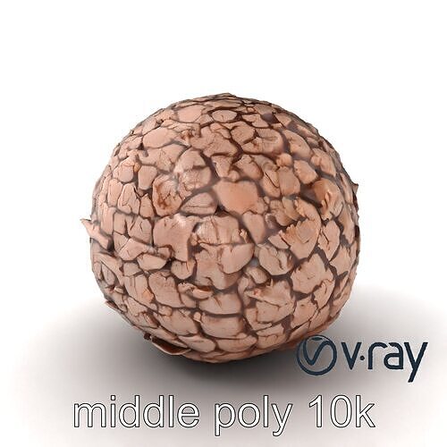 Truffle Mushroom Detailed Surface model pack Low-poly 3D model