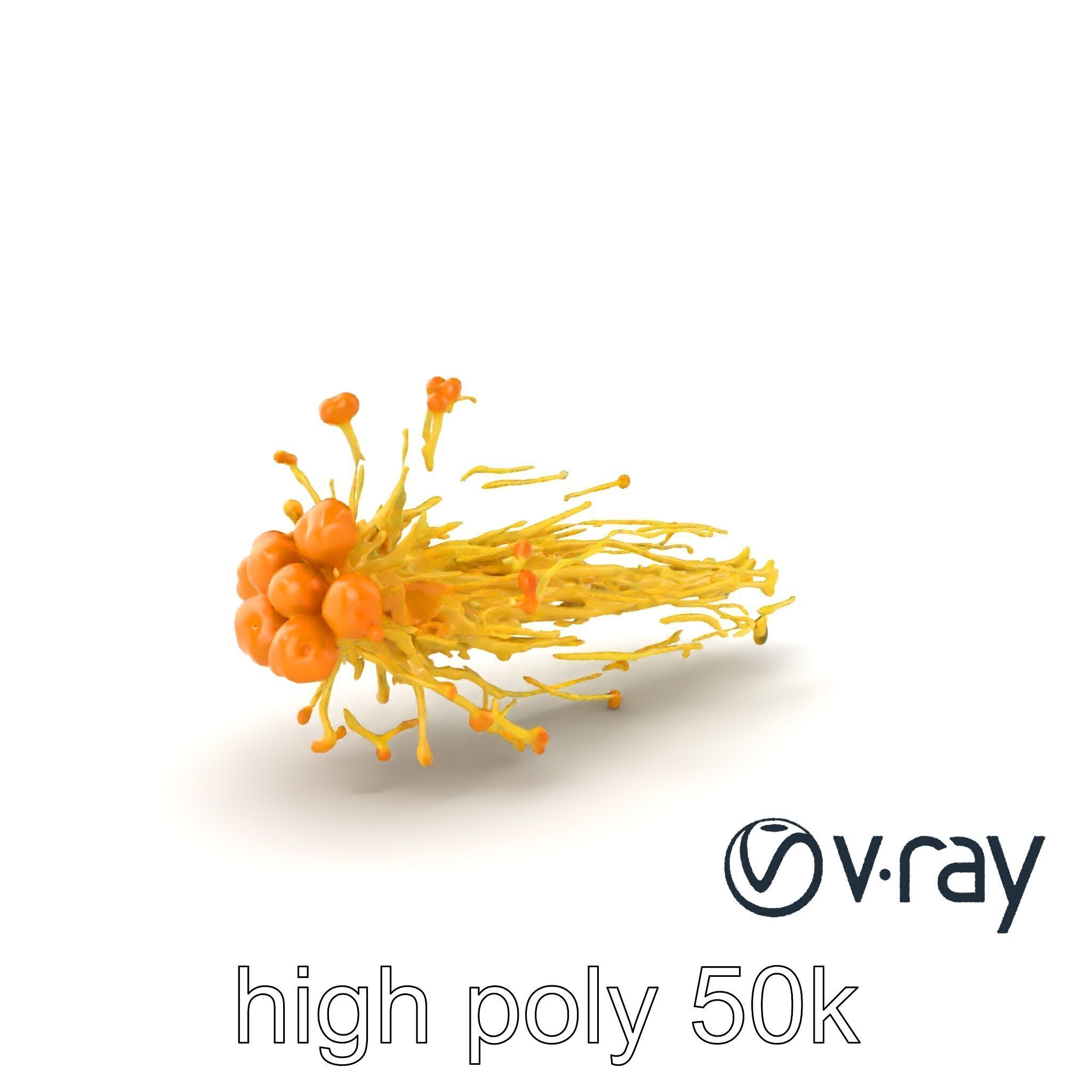 Enoki Mushroom Model Pack for Culinary Scenes Low-poly 3D model_7