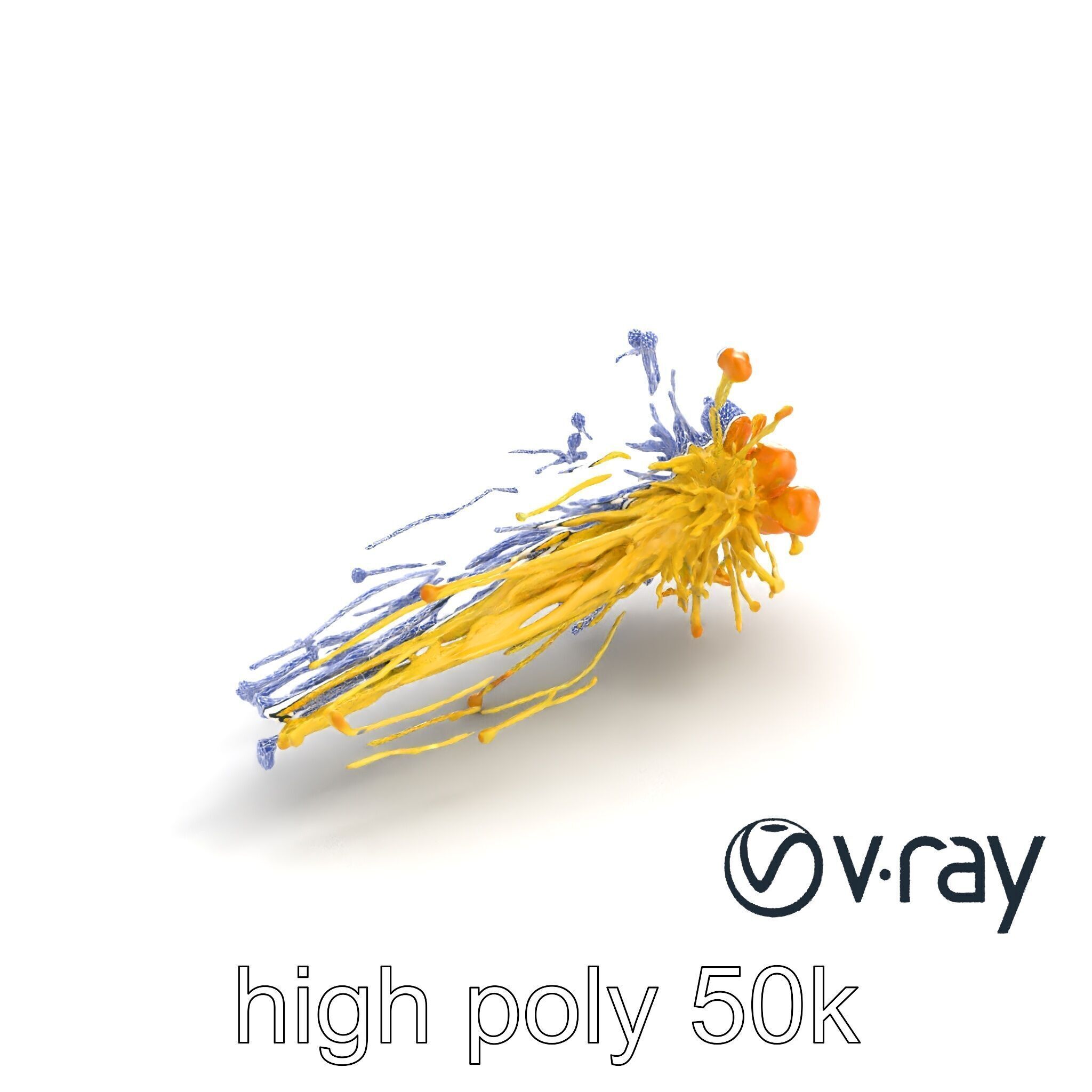 Enoki Mushroom Model Pack for Culinary Scenes Low-poly 3D model_29