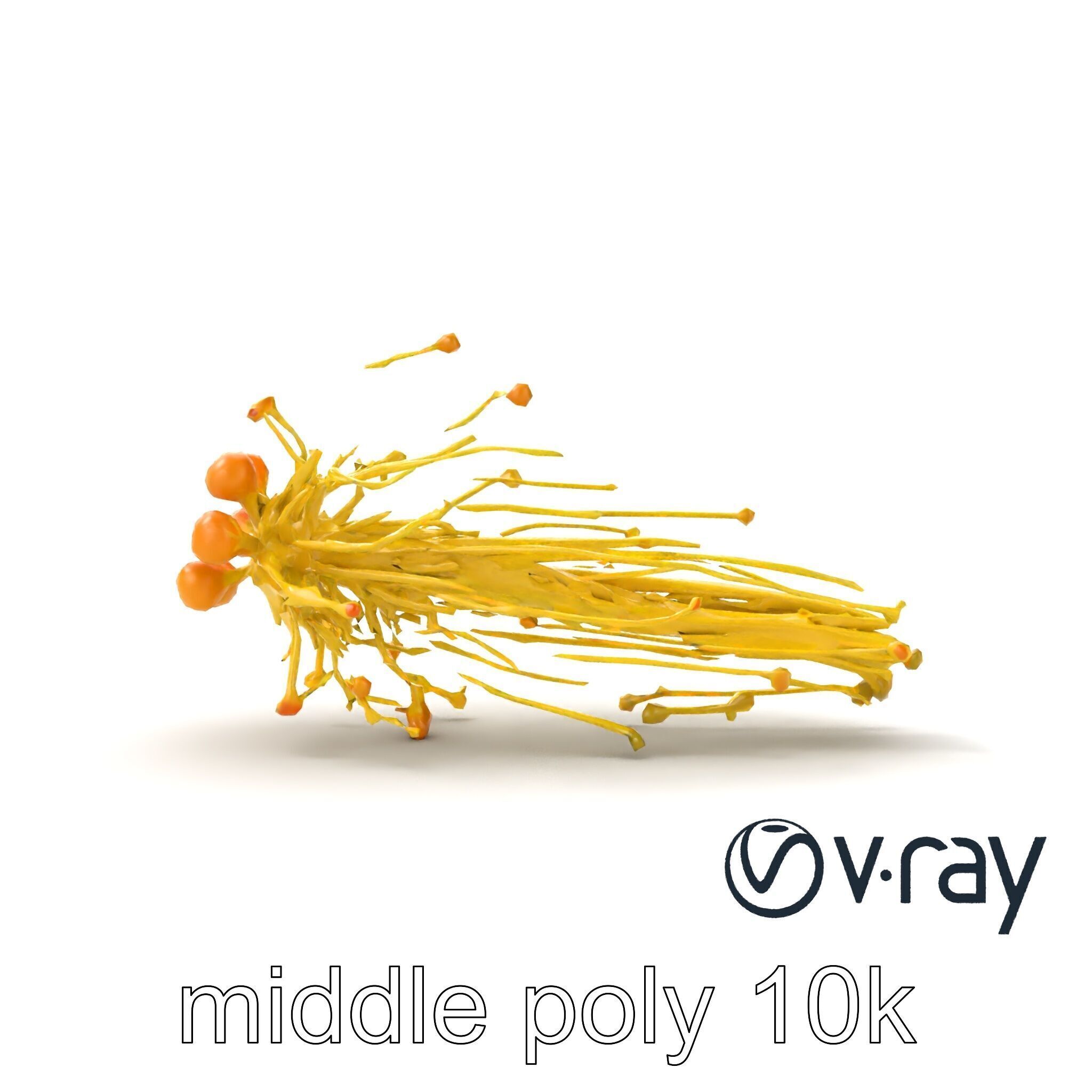 Enoki Mushroom Model Pack for Culinary Scenes Low-poly 3D model_19