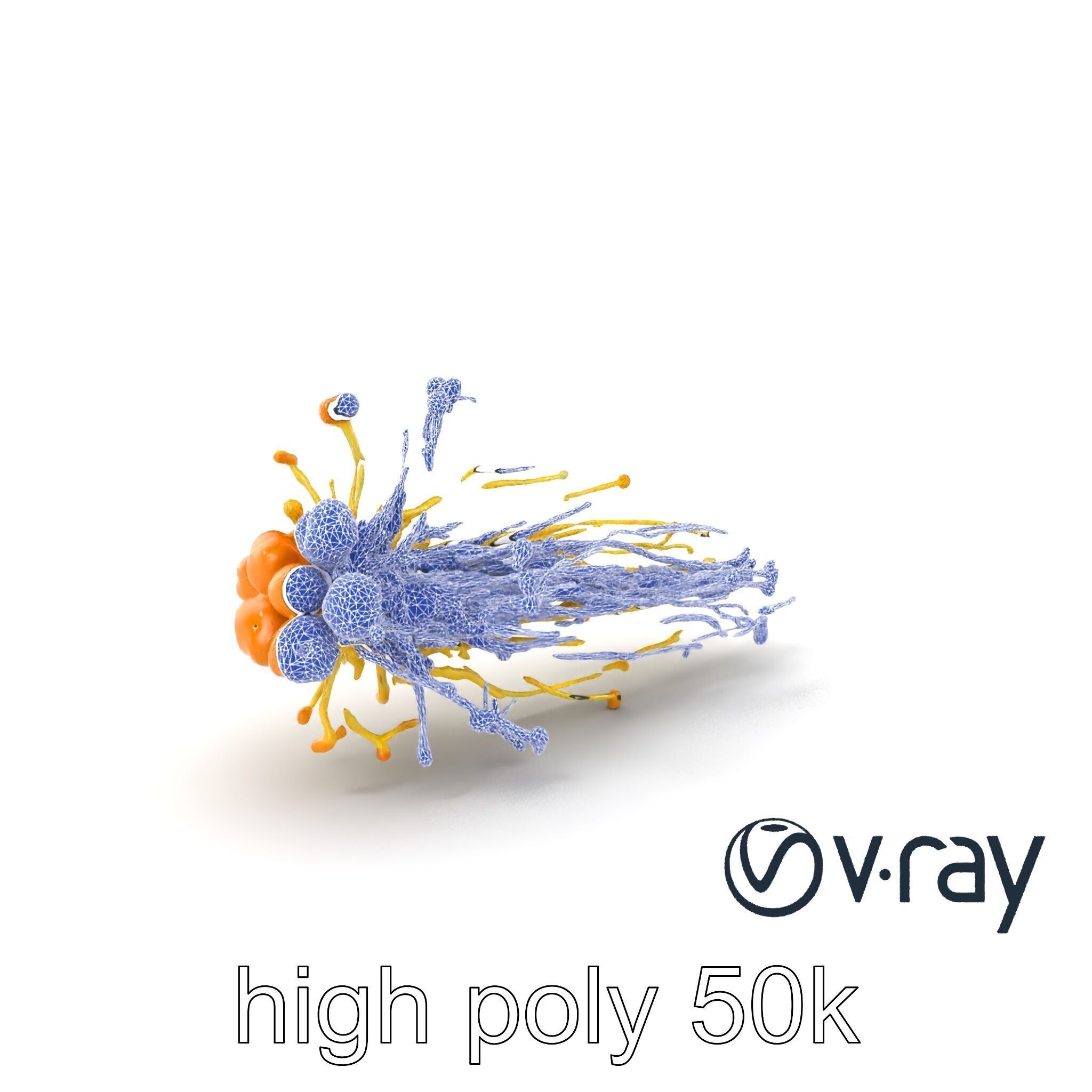 Enoki Mushroom Model Pack for Culinary Scenes Low-poly 3D model_10