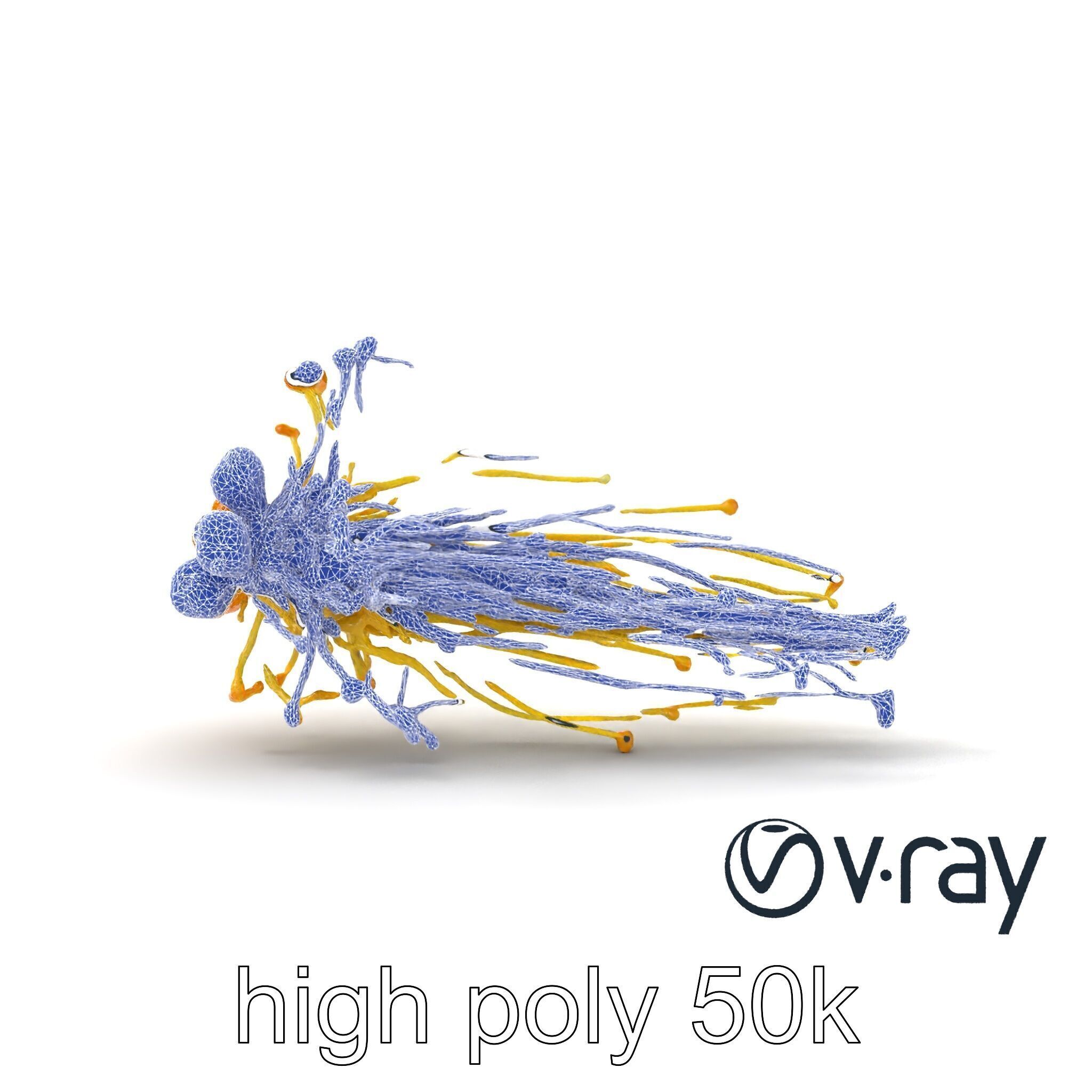 Enoki Mushroom Model Pack for Culinary Scenes Low-poly 3D model_32