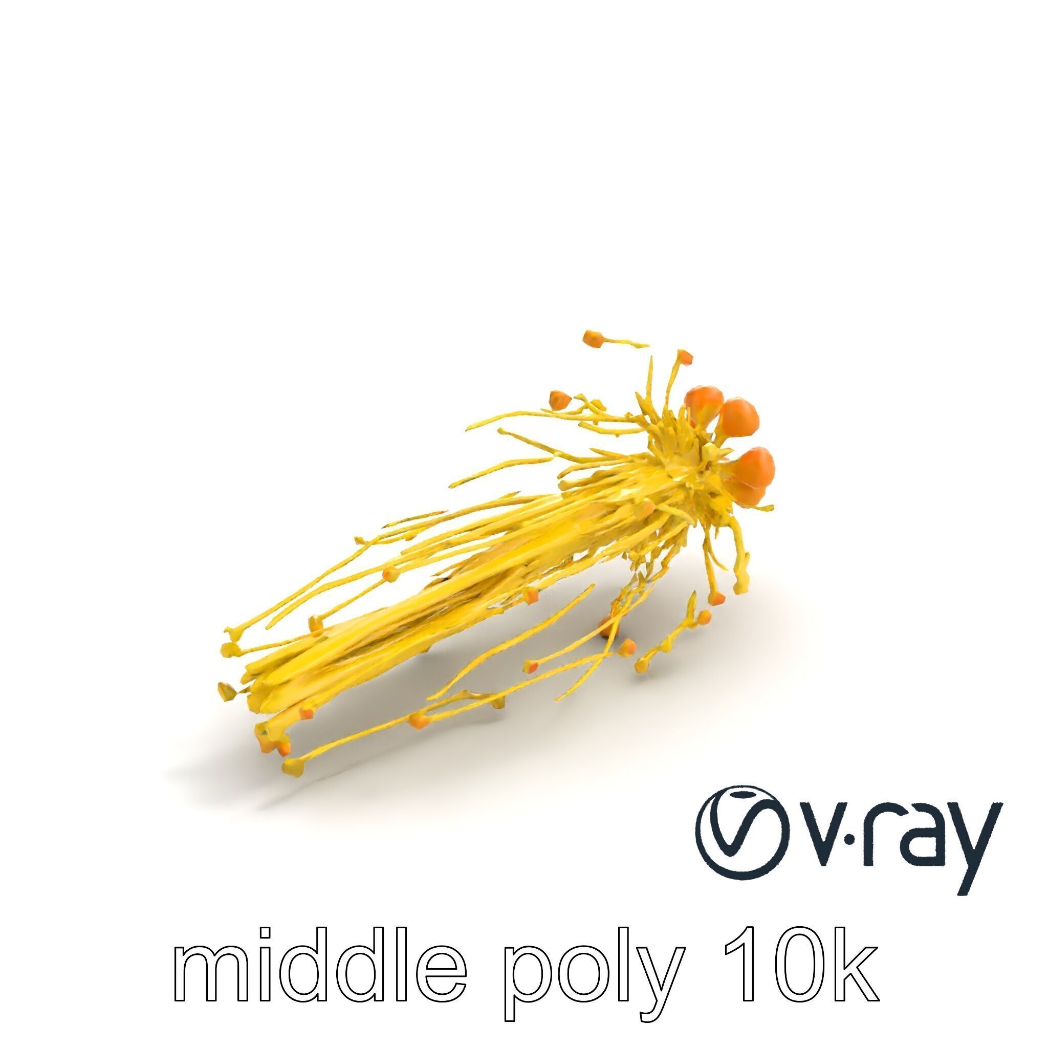 Enoki Mushroom Model Pack for Culinary Scenes Low-poly 3D model_8