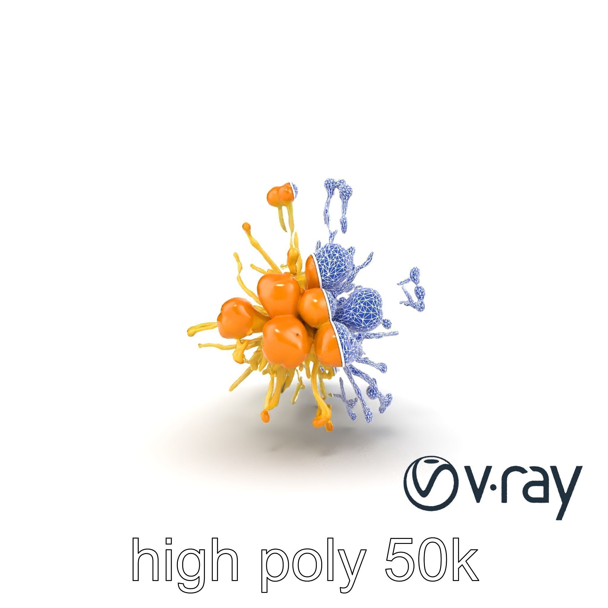 Enoki Mushroom Model Pack for Culinary Scenes Low-poly 3D model_30