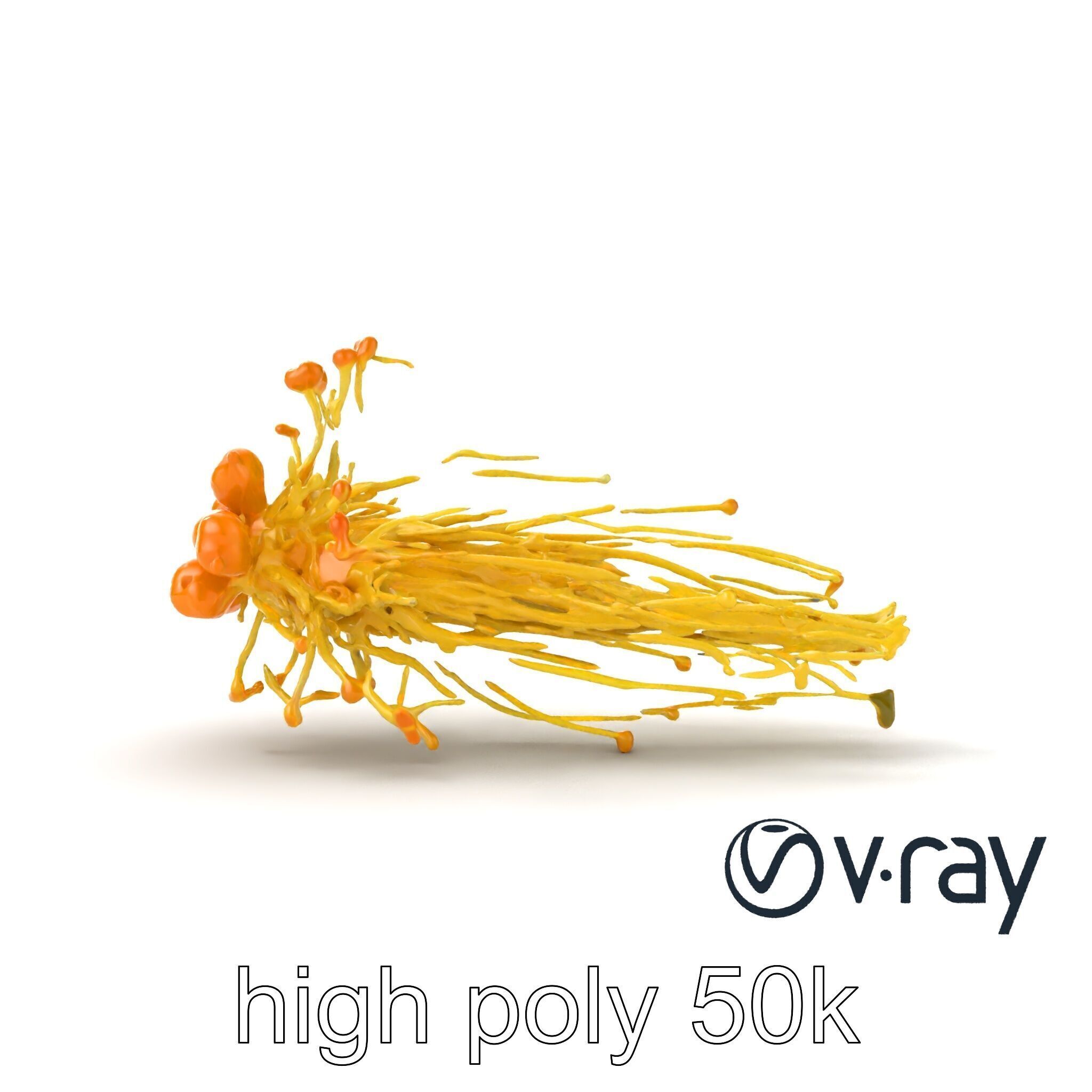 Enoki Mushroom Model Pack for Culinary Scenes Low-poly 3D model_22