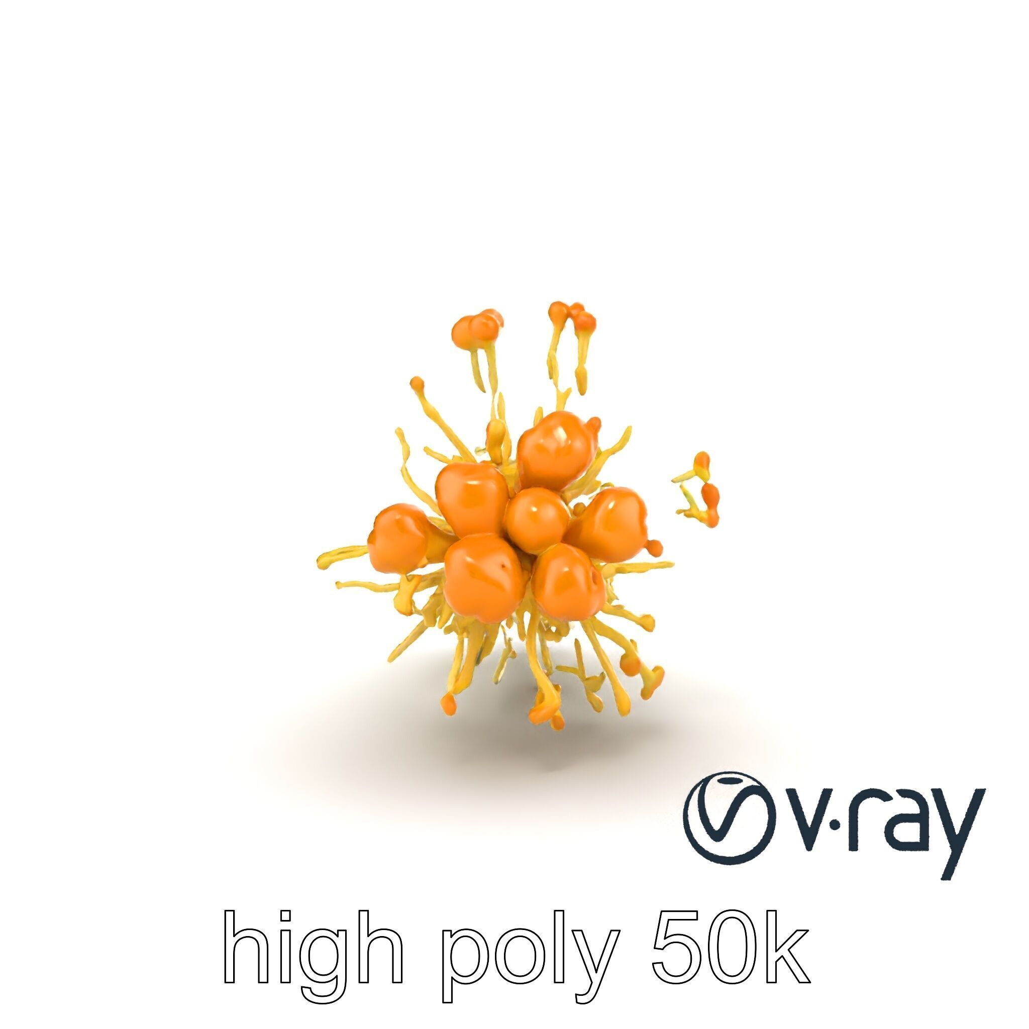 Enoki Mushroom Model Pack for Culinary Scenes Low-poly 3D model_21