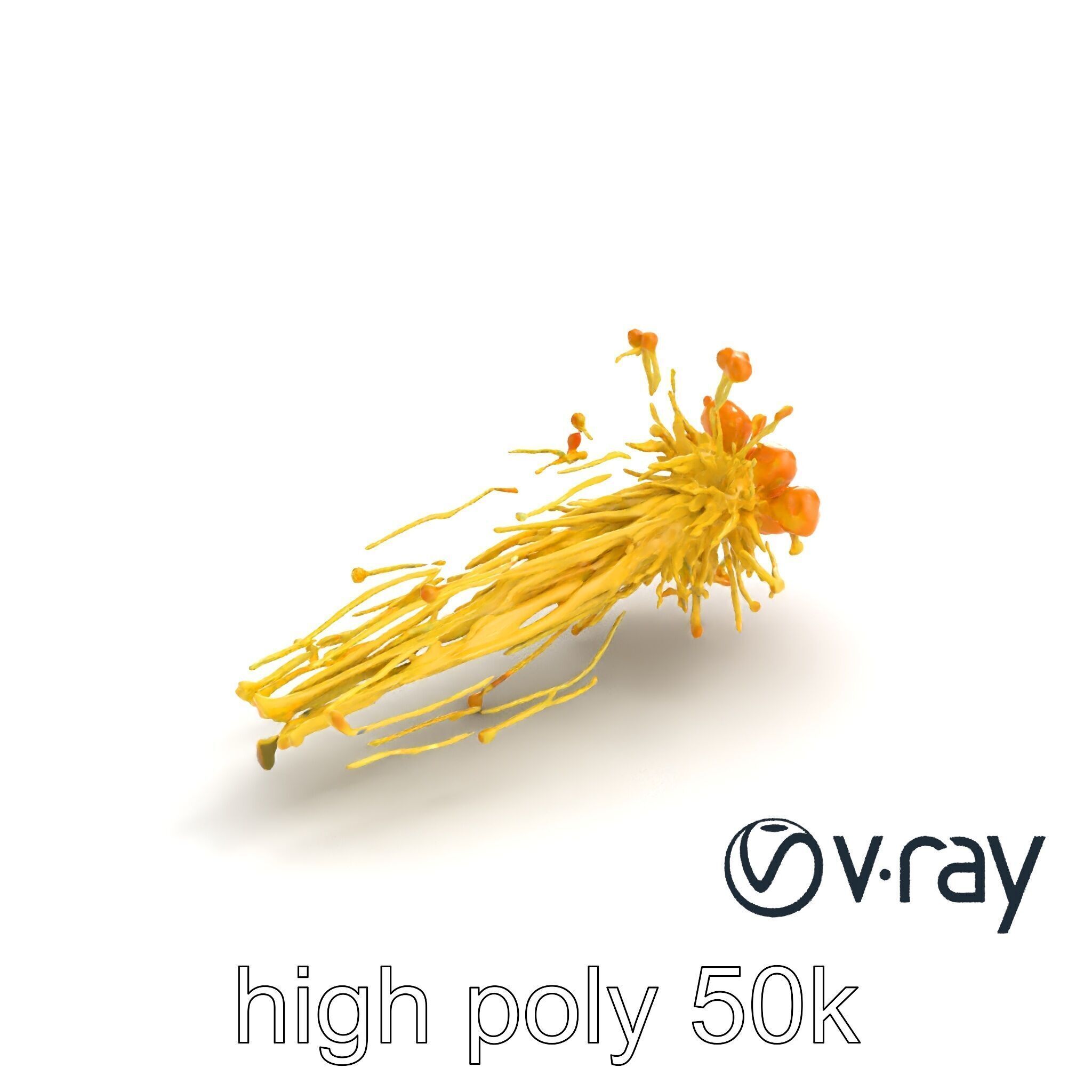 Enoki Mushroom Model Pack for Culinary Scenes Low-poly 3D model_14