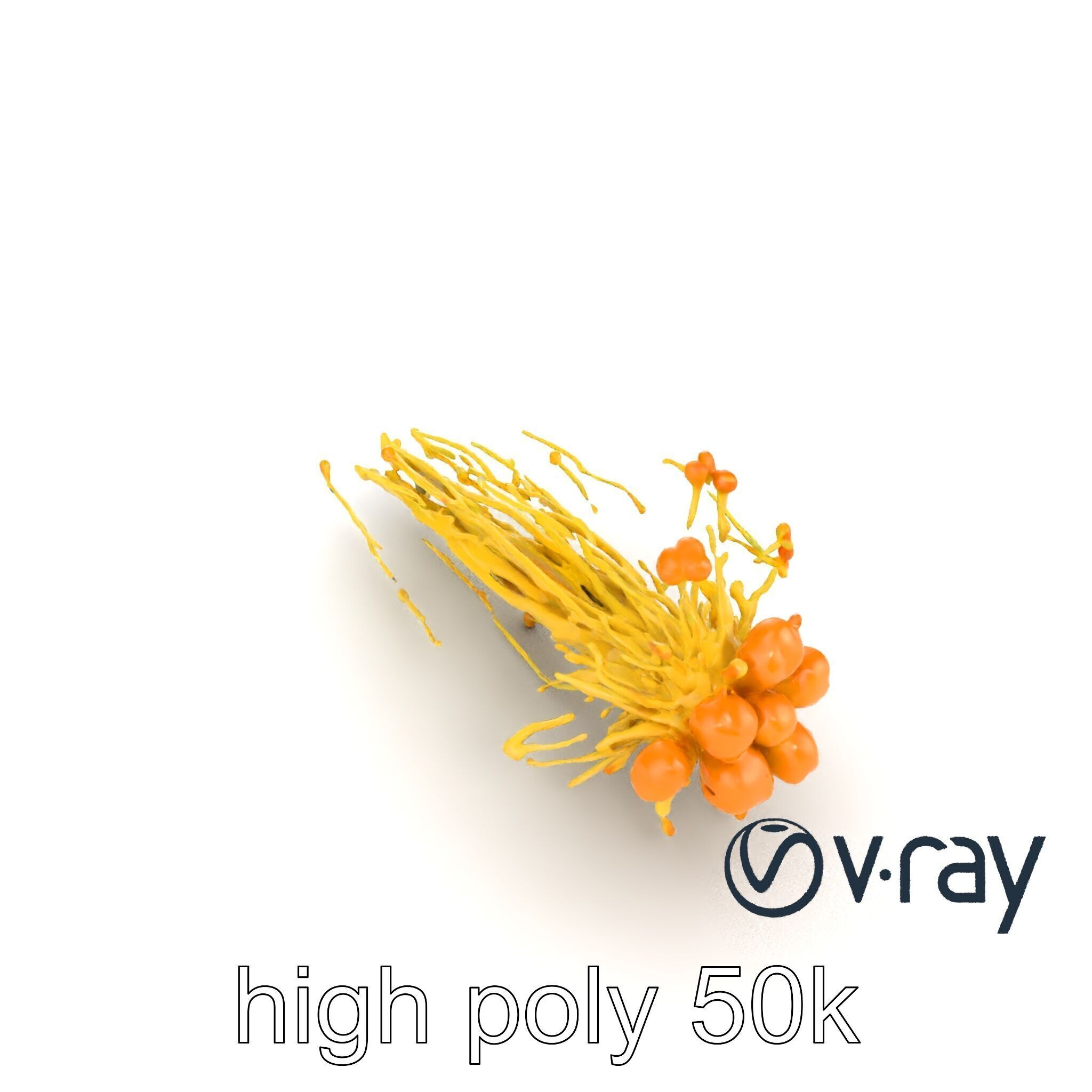 Enoki Mushroom Model Pack for Culinary Scenes Low-poly 3D model_12