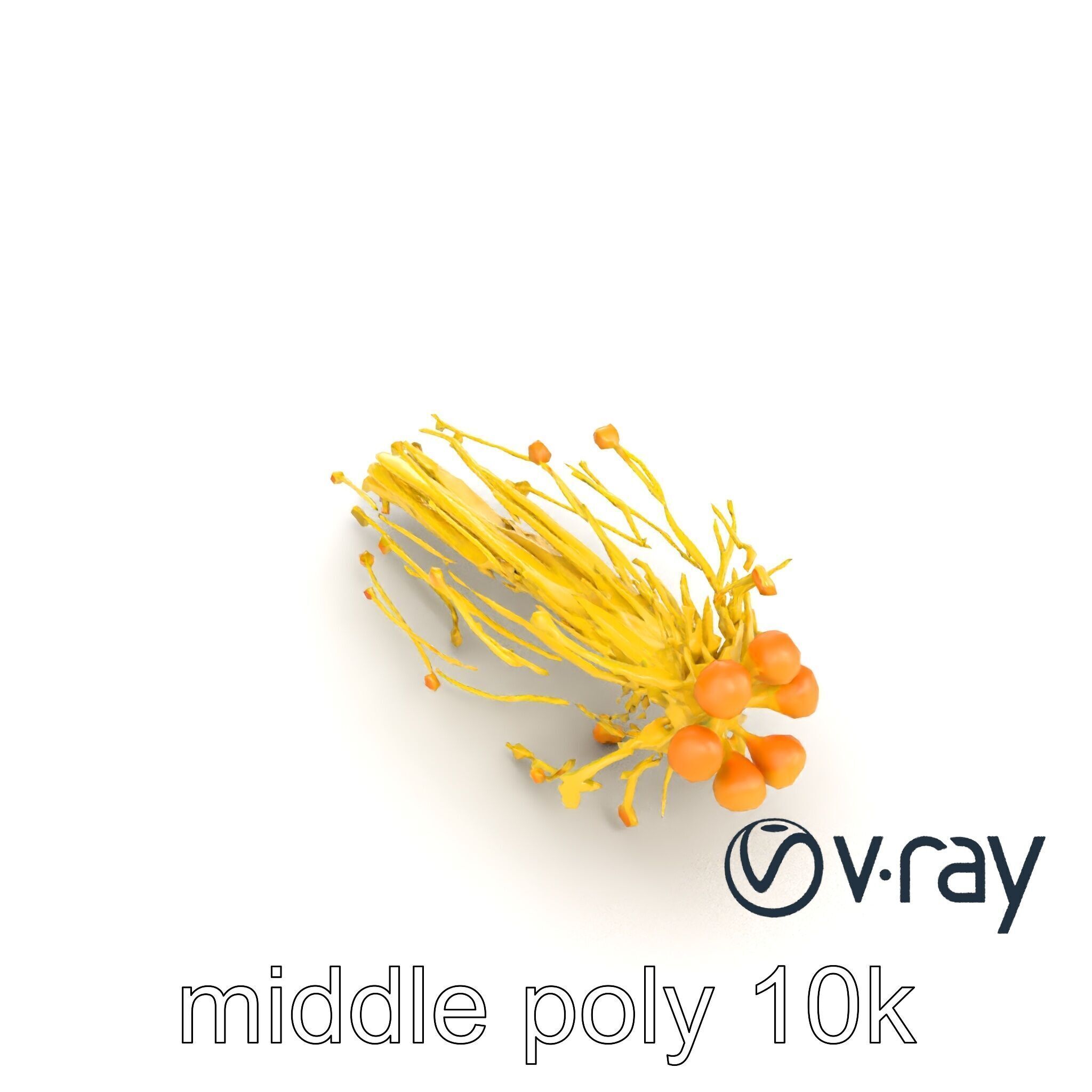 Enoki Mushroom Model Pack for Culinary Scenes Low-poly 3D model_26