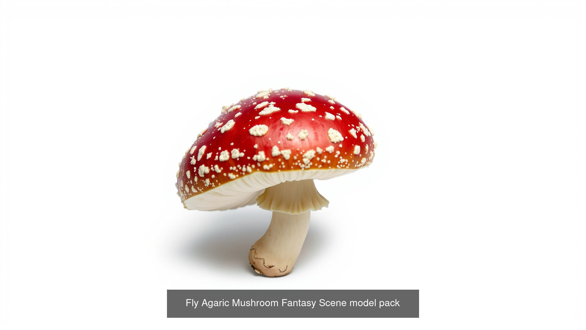 Captivating Mushrooms Pack 3D Model Collection_19