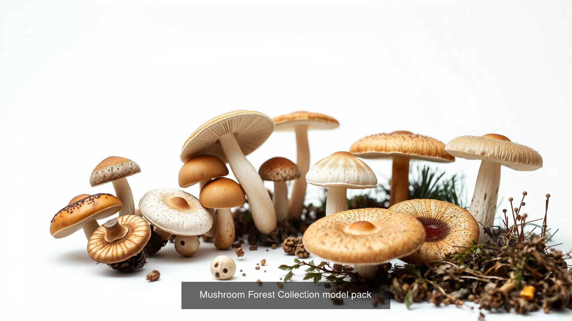 Captivating Mushrooms Pack 3D Model Collection_0