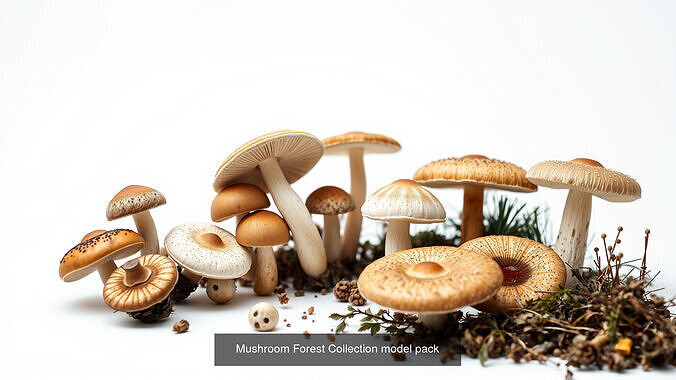 Captivating Mushrooms Pack 3D Model Collection