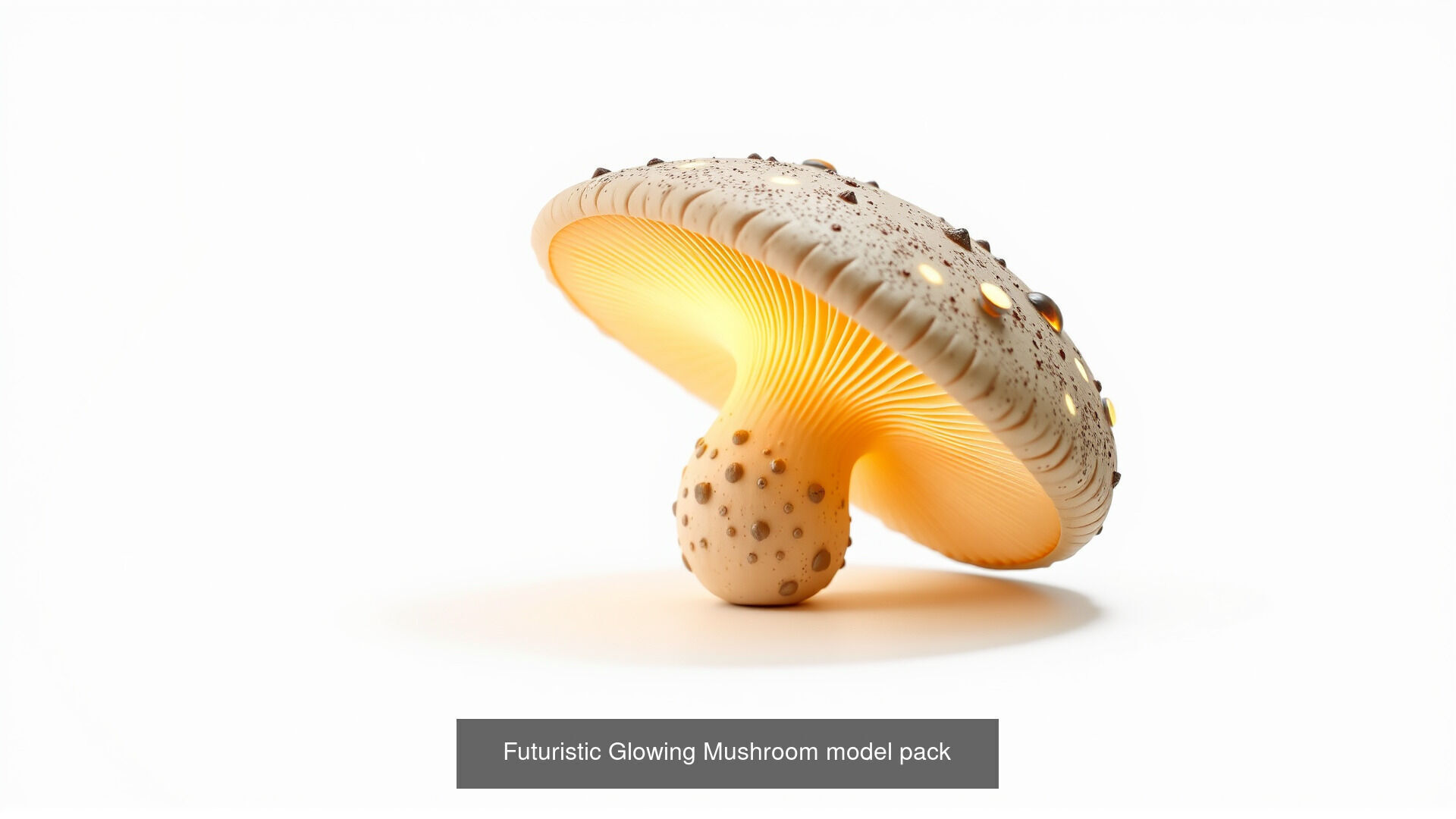 Captivating Mushrooms Pack 3D Model Collection_17