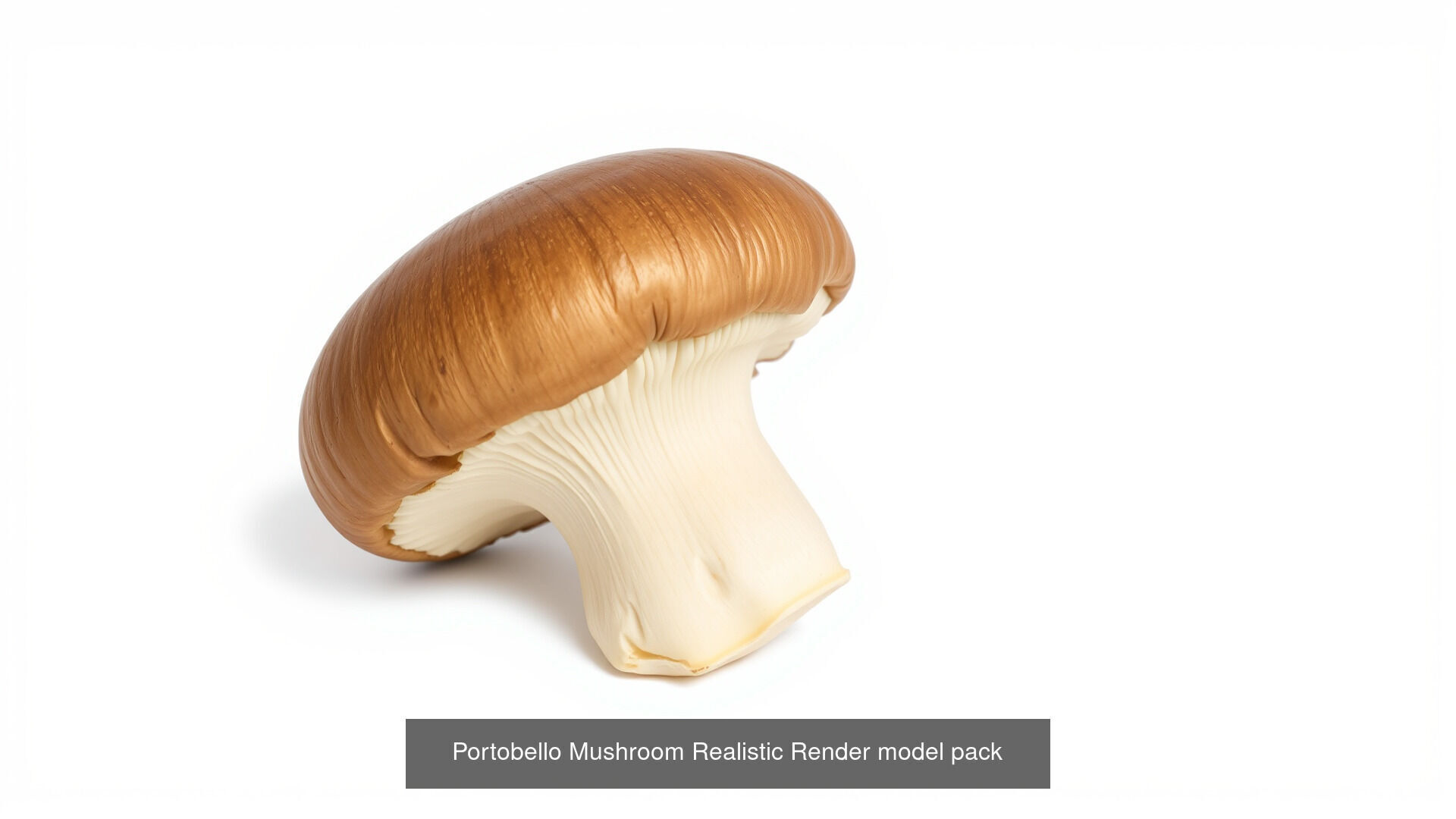Captivating Mushrooms Pack 3D Model Collection_24