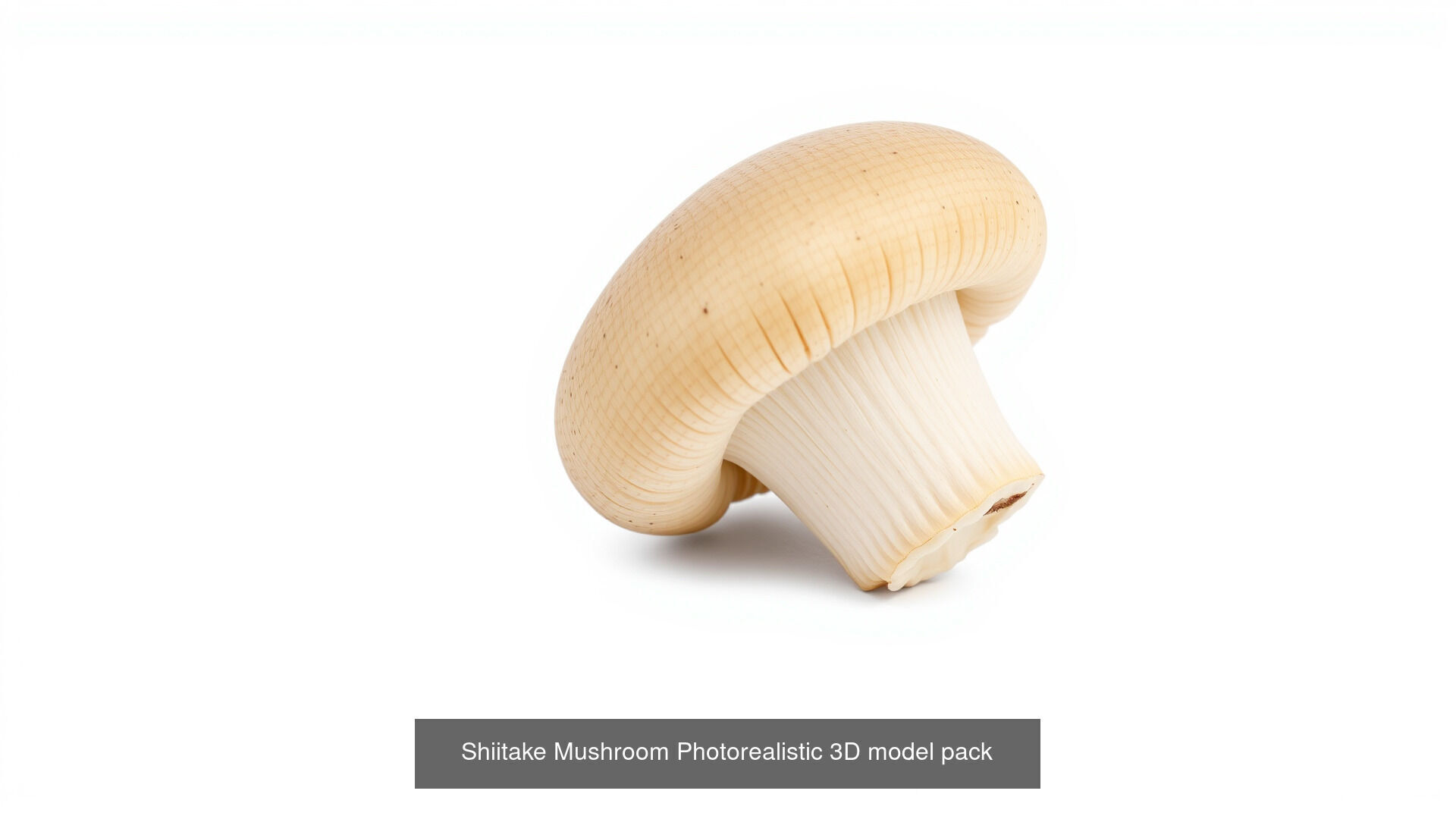 Captivating Mushrooms Pack 3D Model Collection_18