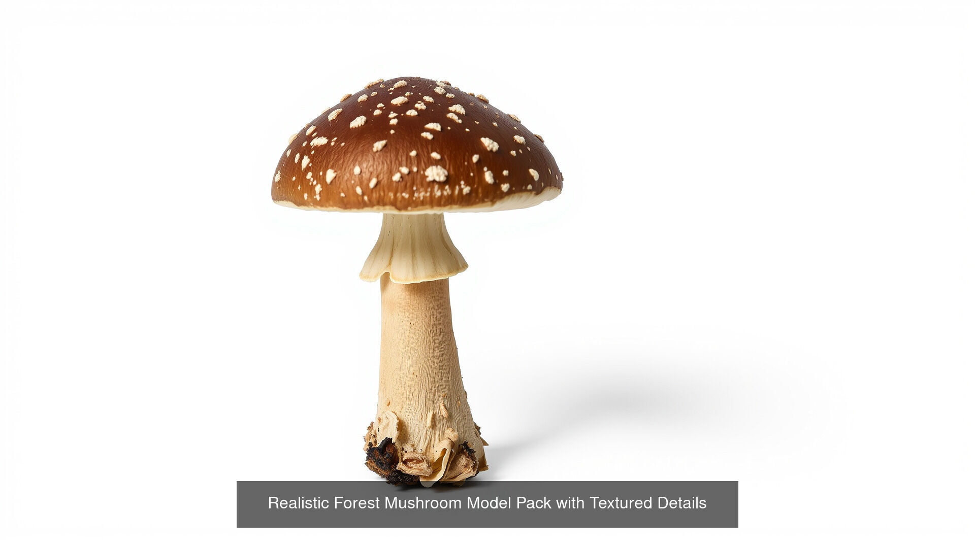 Captivating Mushrooms Pack 3D Model Collection_25