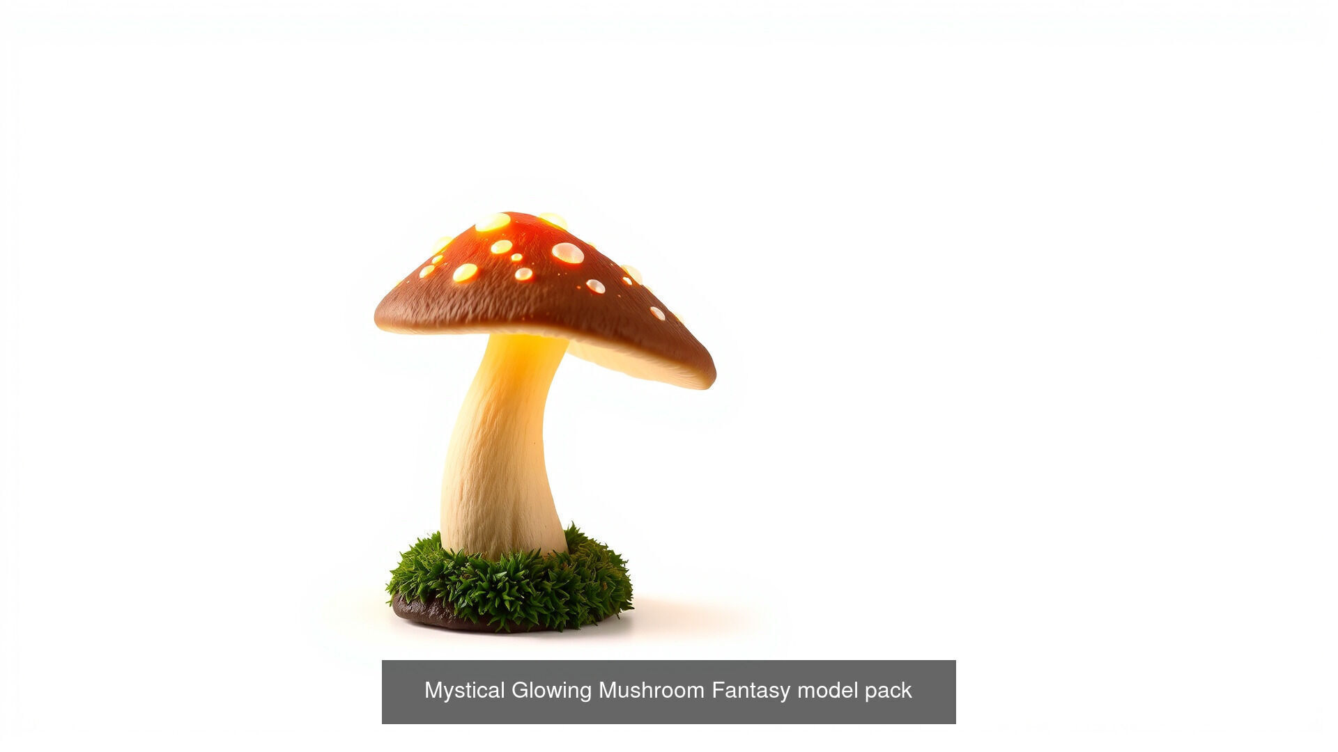 Captivating Mushrooms Pack 3D Model Collection_22