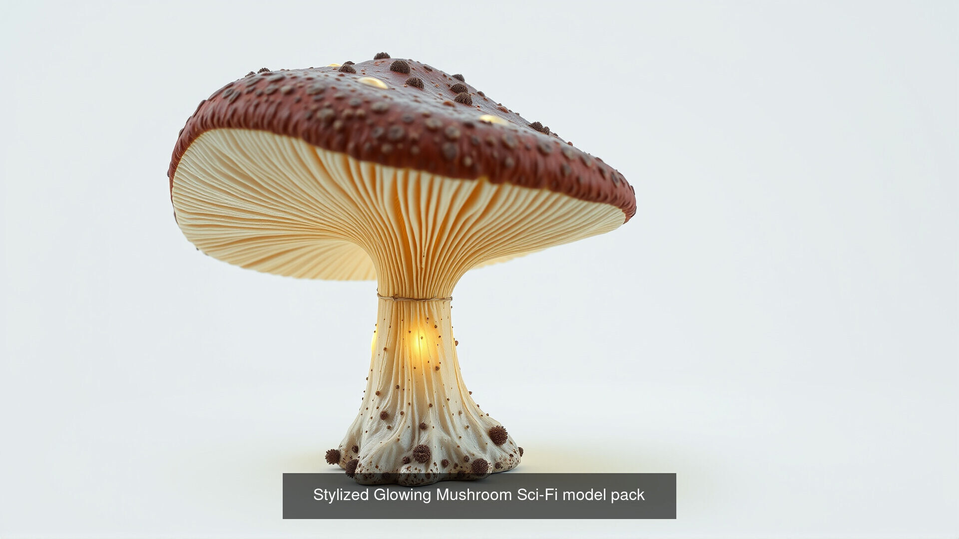 Captivating Mushrooms Pack 3D Model Collection_21