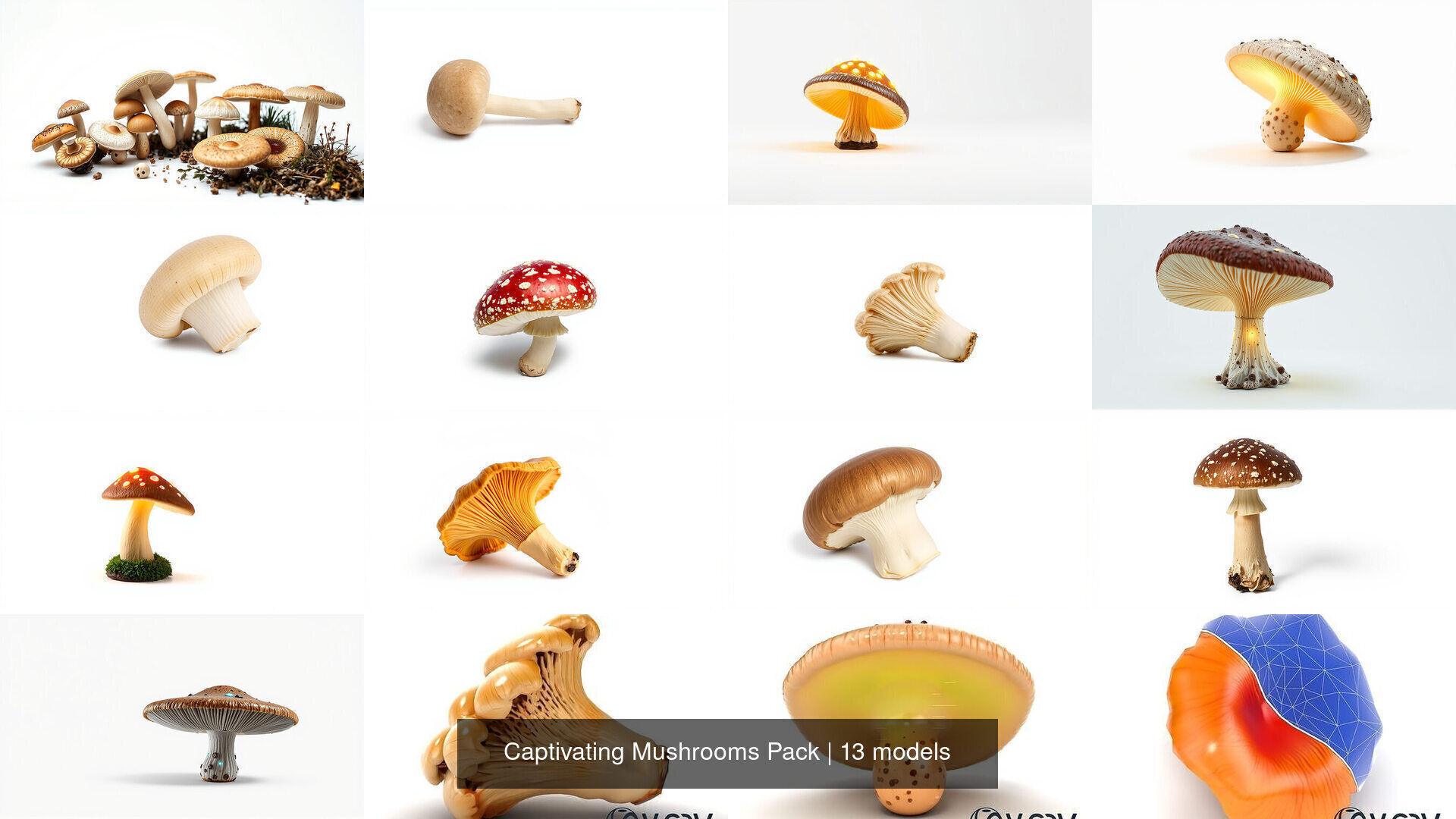Captivating Mushrooms Pack 3D Model Collection_16