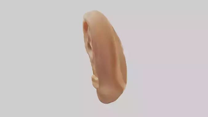 Human Ear Model Low-poly 3D model