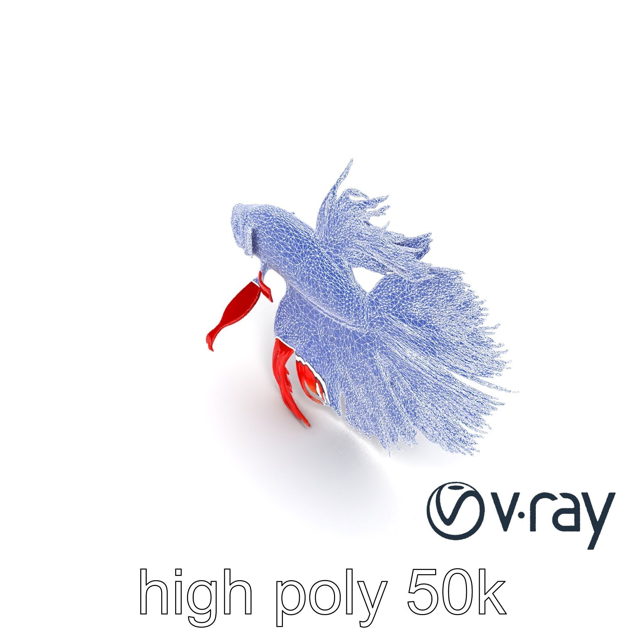 CoralGlow Betta Neon Fish model pack Low-poly 3D model_22