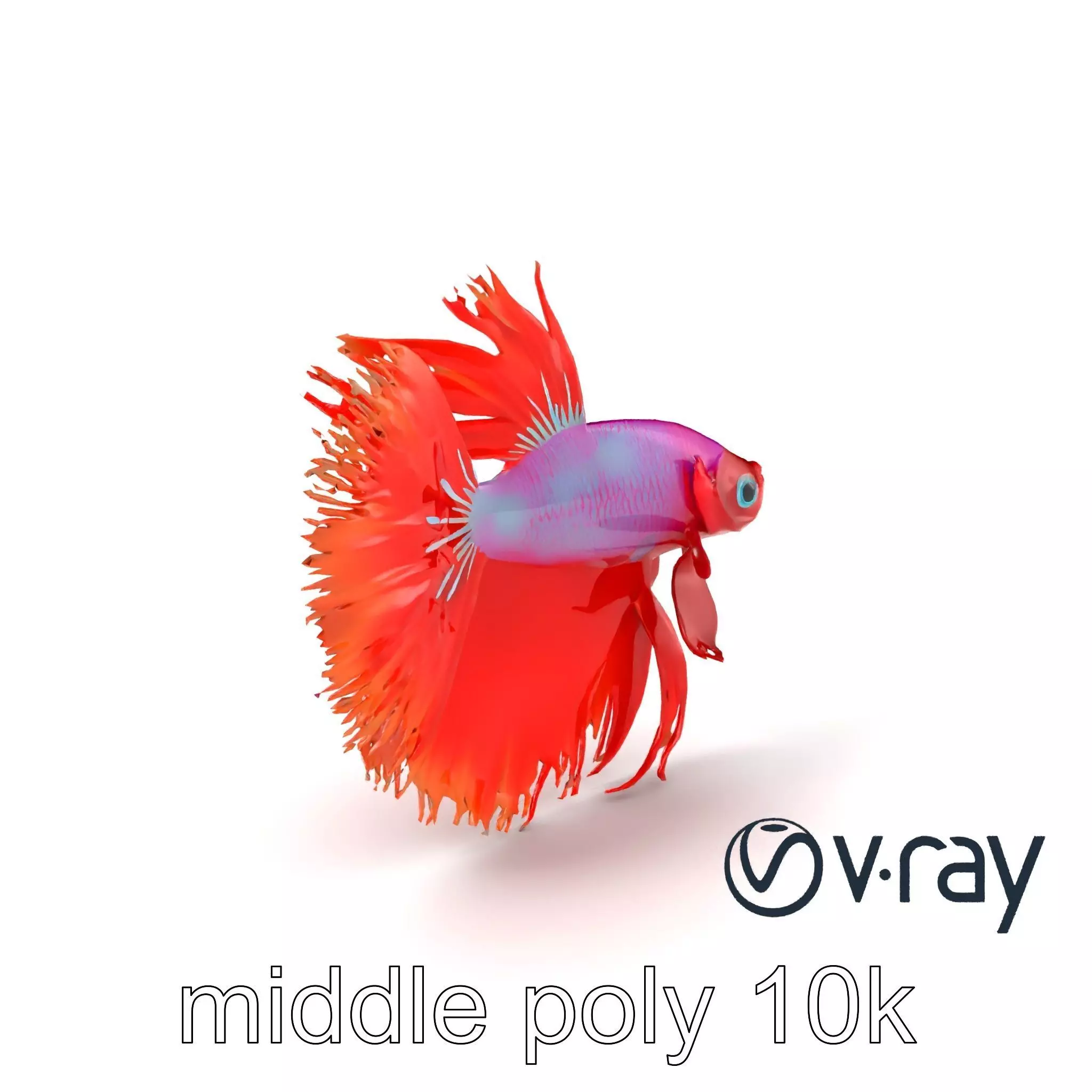 CoralGlow Betta Neon Fish model pack Low-poly 3D model_0