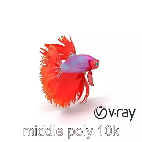 CoralGlow Betta Neon Fish model pack Low-poly 3D model