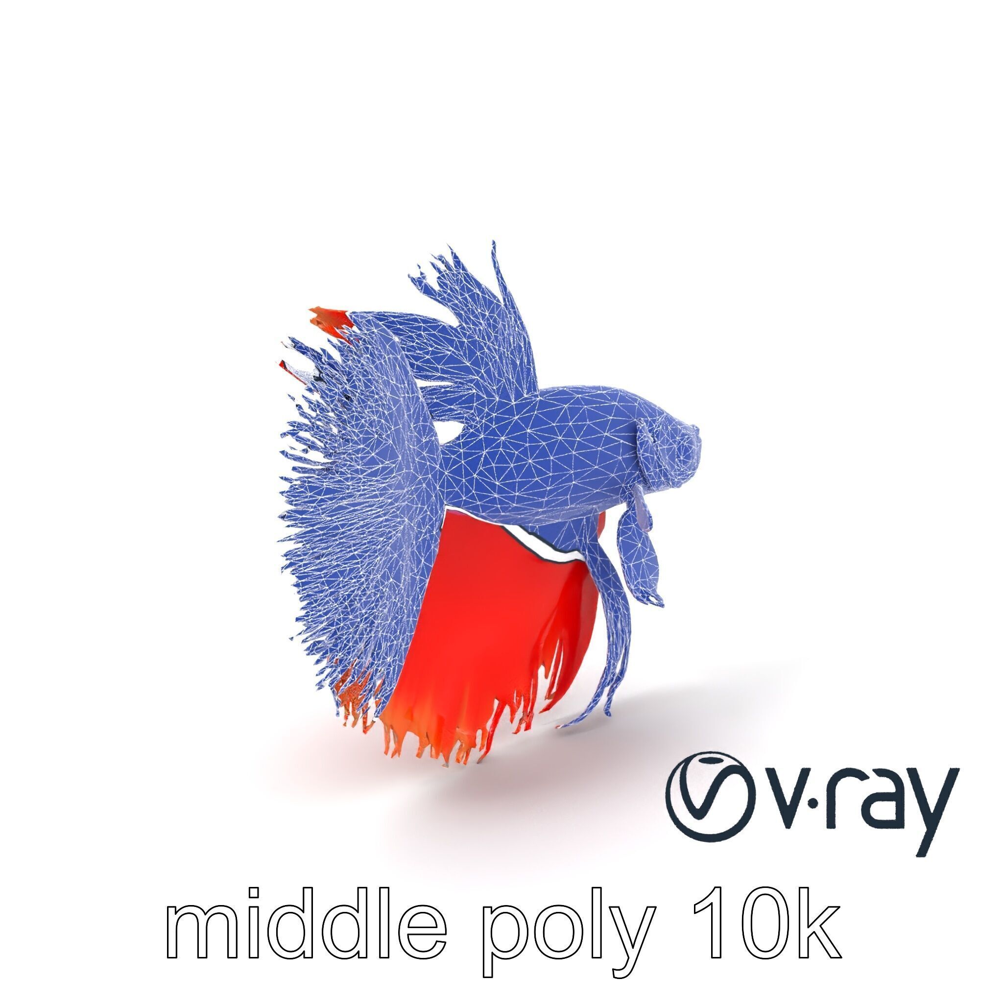 CoralGlow Betta Neon Fish model pack Low-poly 3D model_28