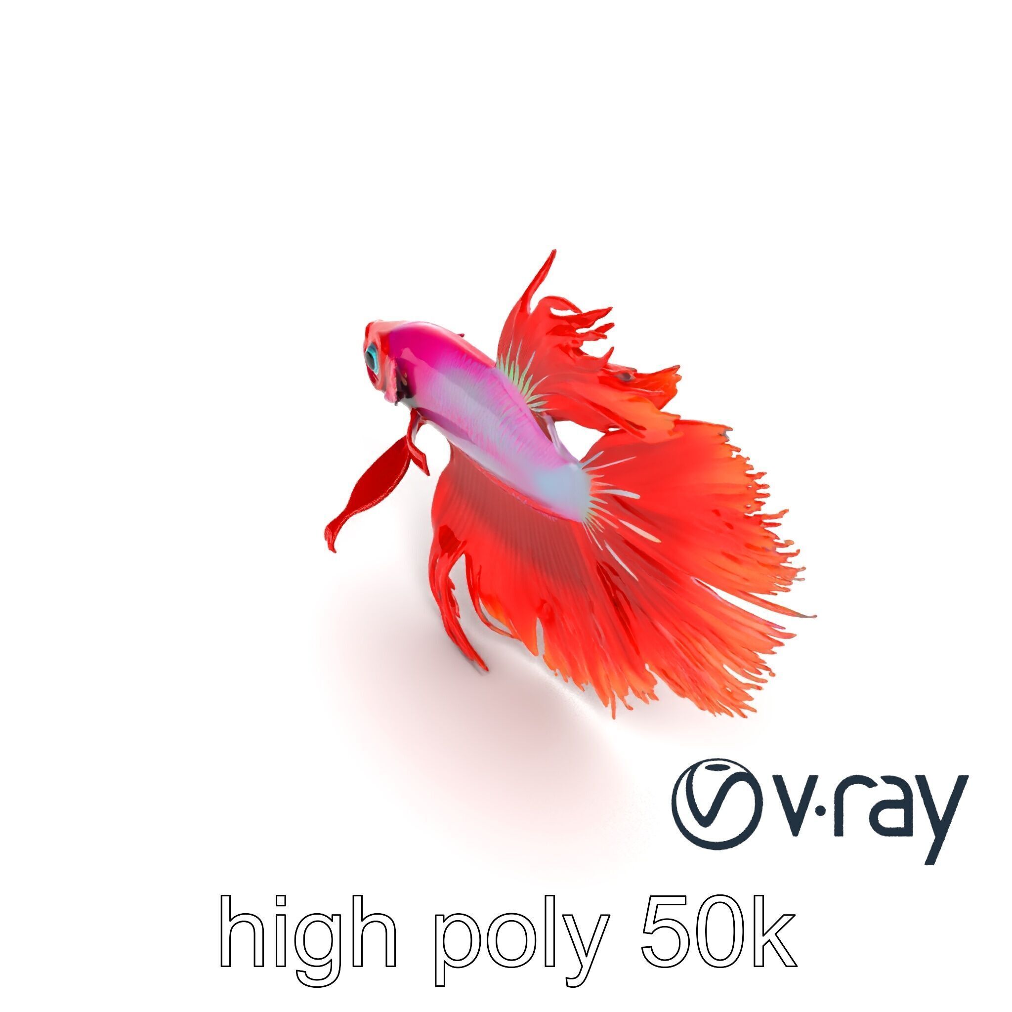 CoralGlow Betta Neon Fish model pack Low-poly 3D model_17
