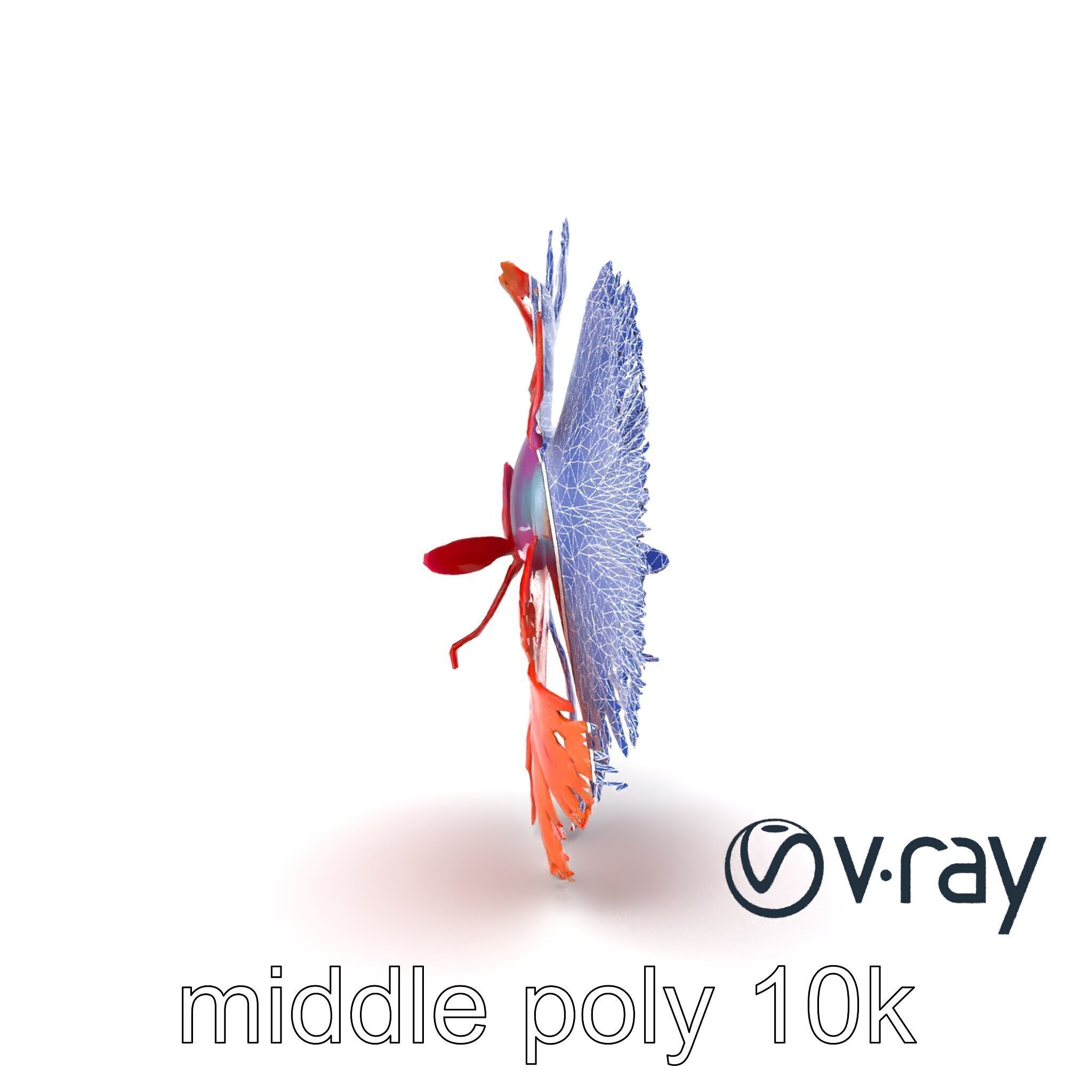 CoralGlow Betta Neon Fish model pack Low-poly 3D model_32