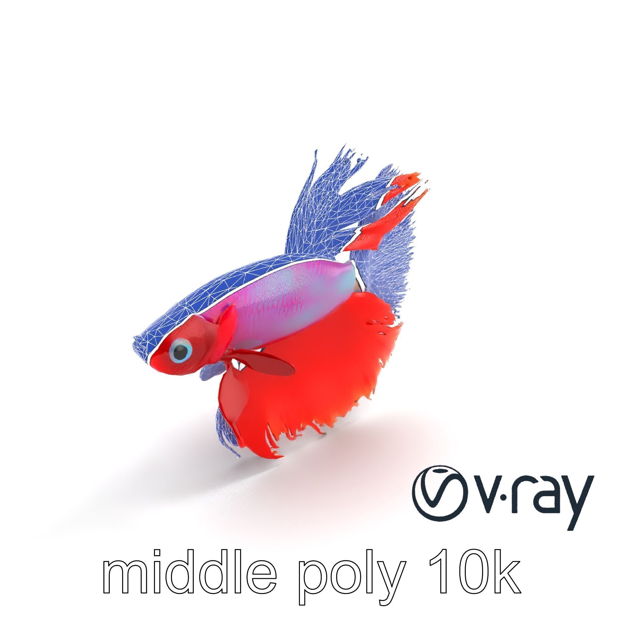 CoralGlow Betta Neon Fish model pack Low-poly 3D model_24