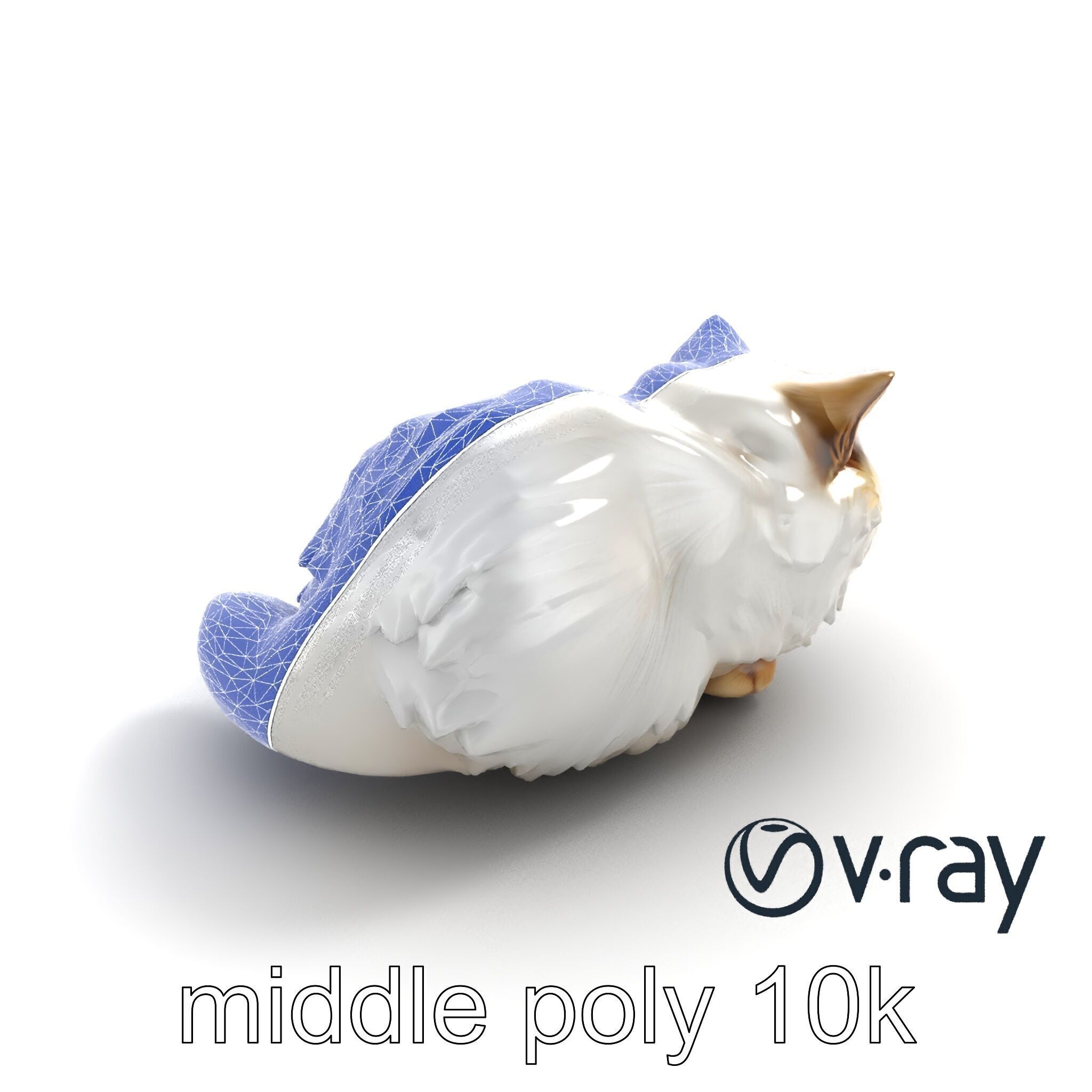 VelvetPaw Persian Cat model pack Low-poly 3D model_28