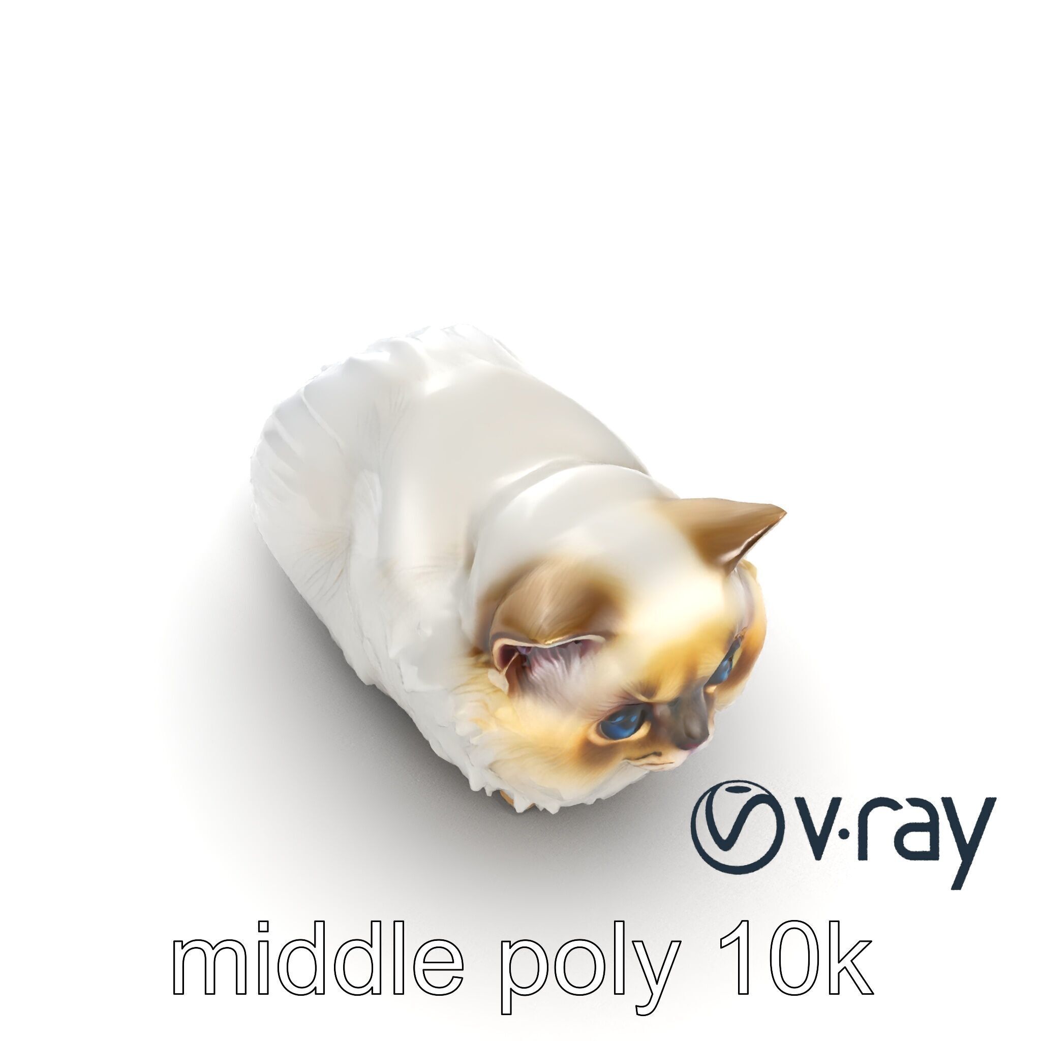 VelvetPaw Persian Cat model pack Low-poly 3D model_27