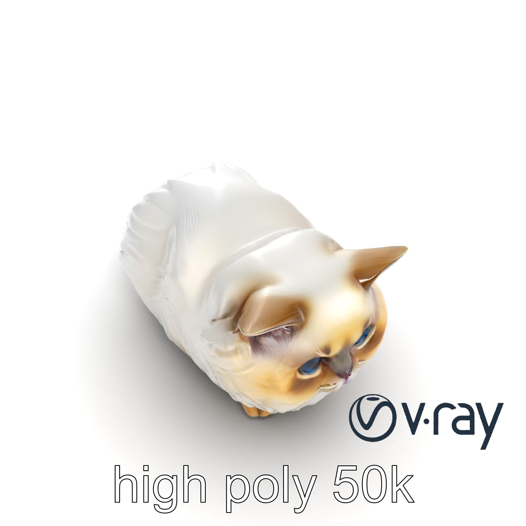 VelvetPaw Persian Cat model pack Low-poly 3D model_12