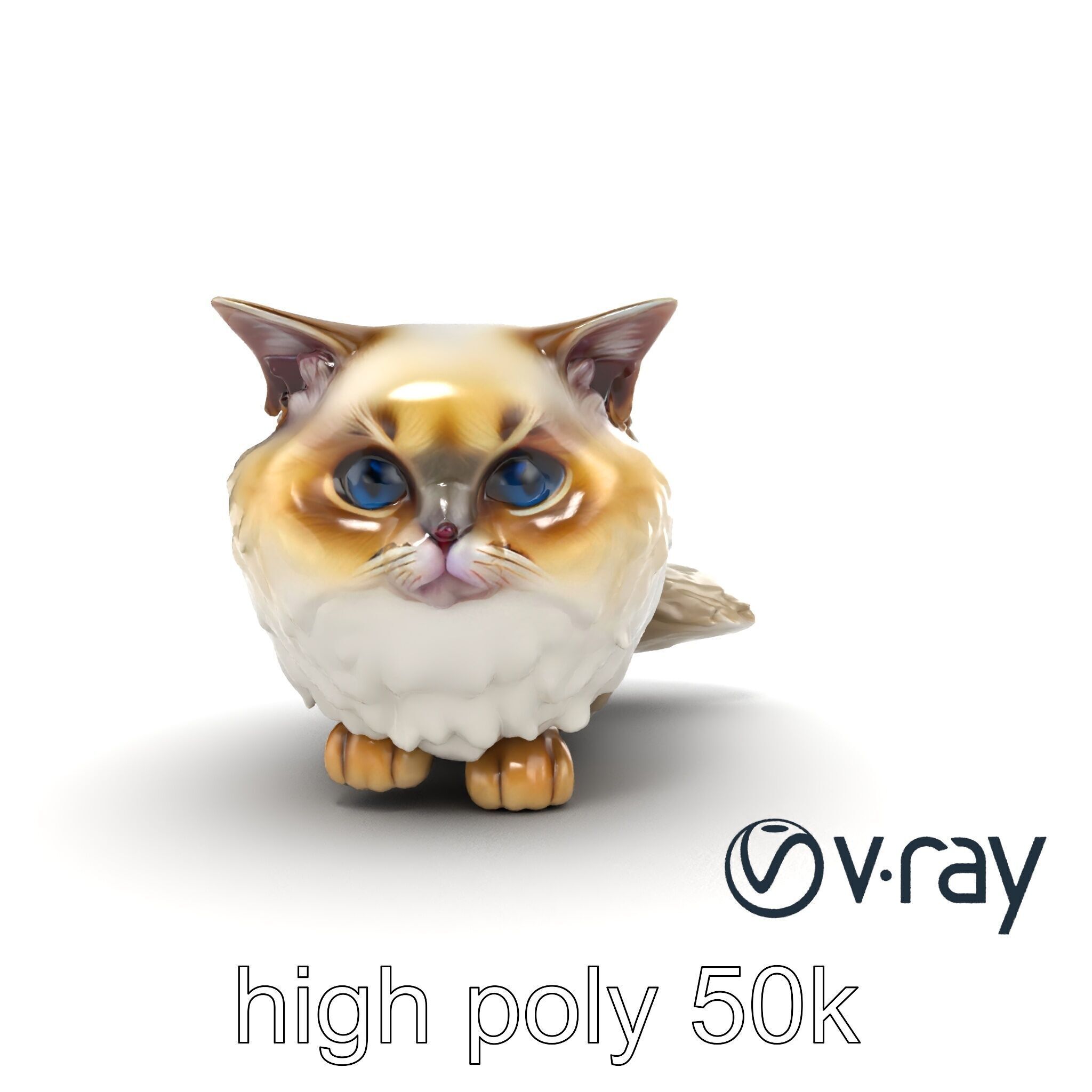 VelvetPaw Persian Cat model pack Low-poly 3D model_26