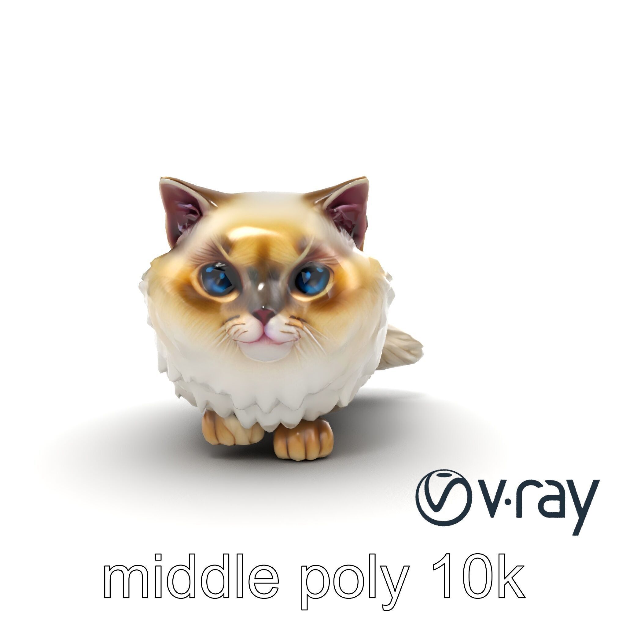 VelvetPaw Persian Cat model pack Low-poly 3D model_24