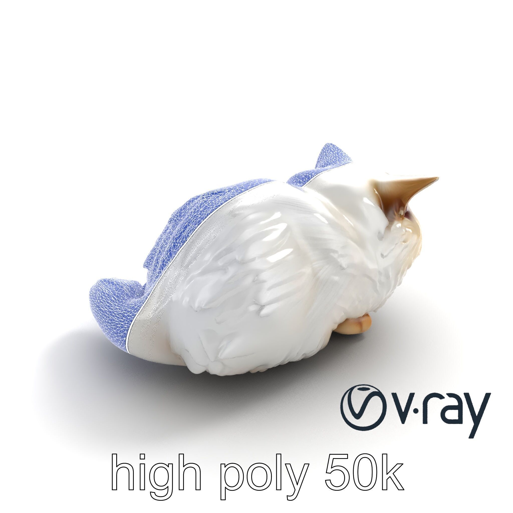 VelvetPaw Persian Cat model pack Low-poly 3D model_19