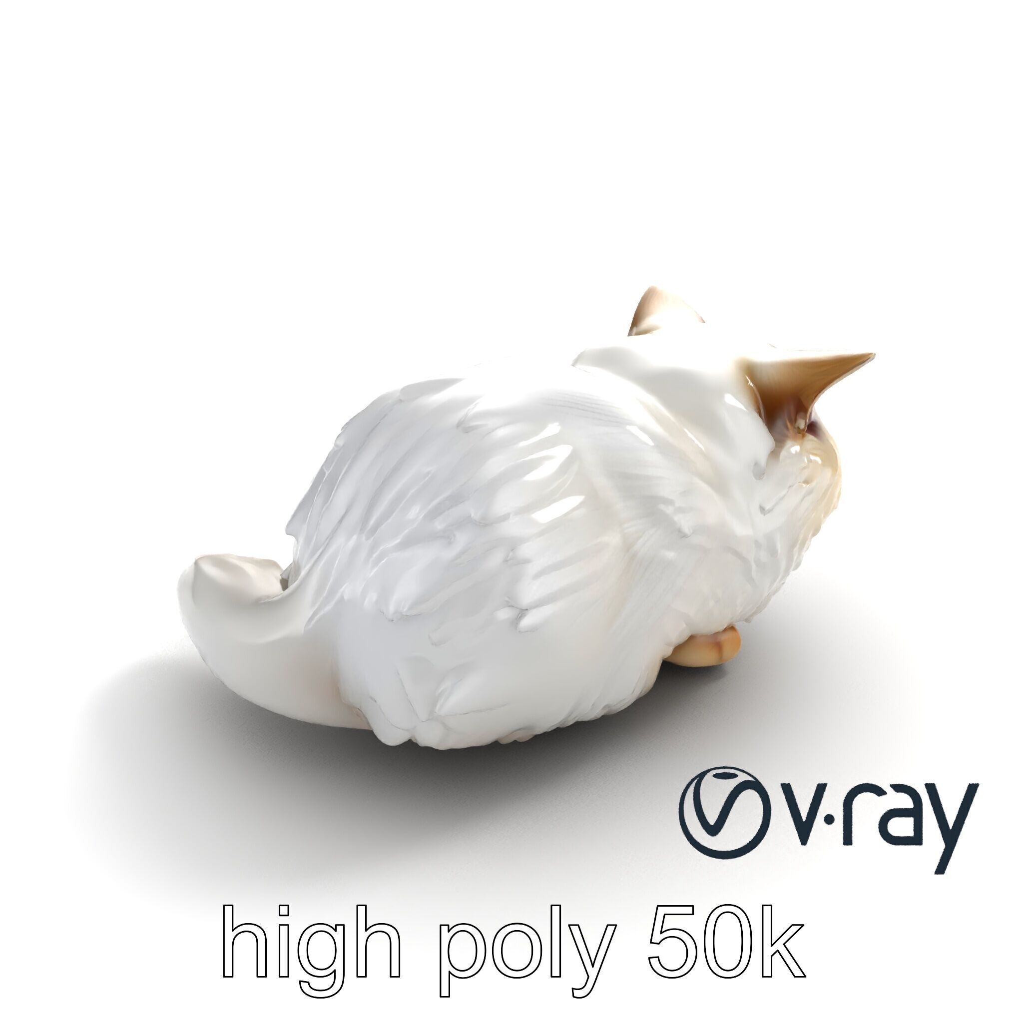 VelvetPaw Persian Cat model pack Low-poly 3D model_11