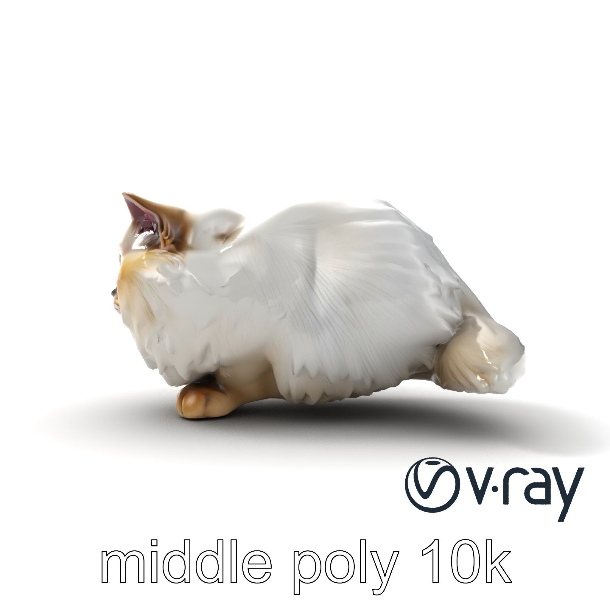 VelvetPaw Persian Cat model pack Low-poly 3D model_16