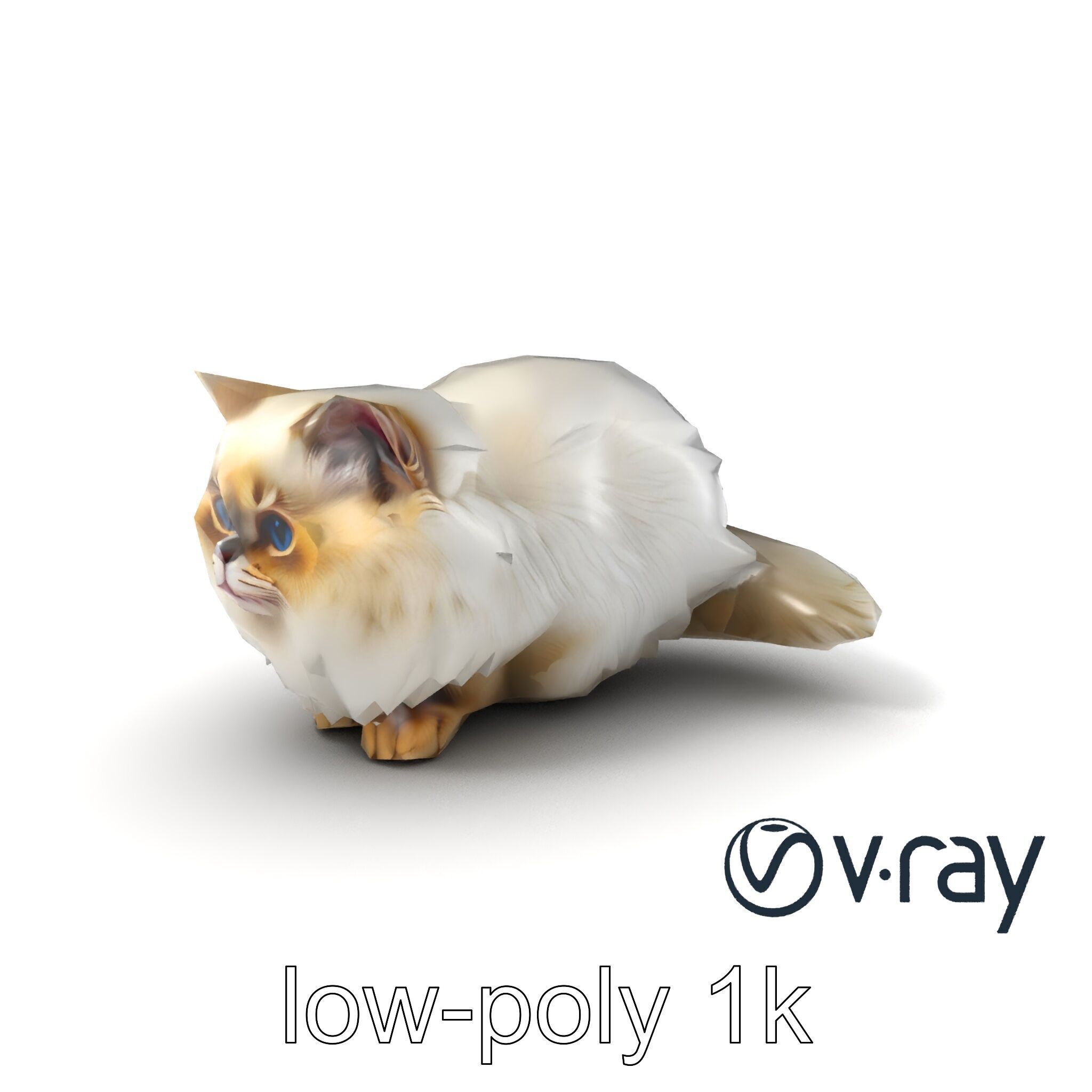 VelvetPaw Persian Cat model pack Low-poly 3D model_3