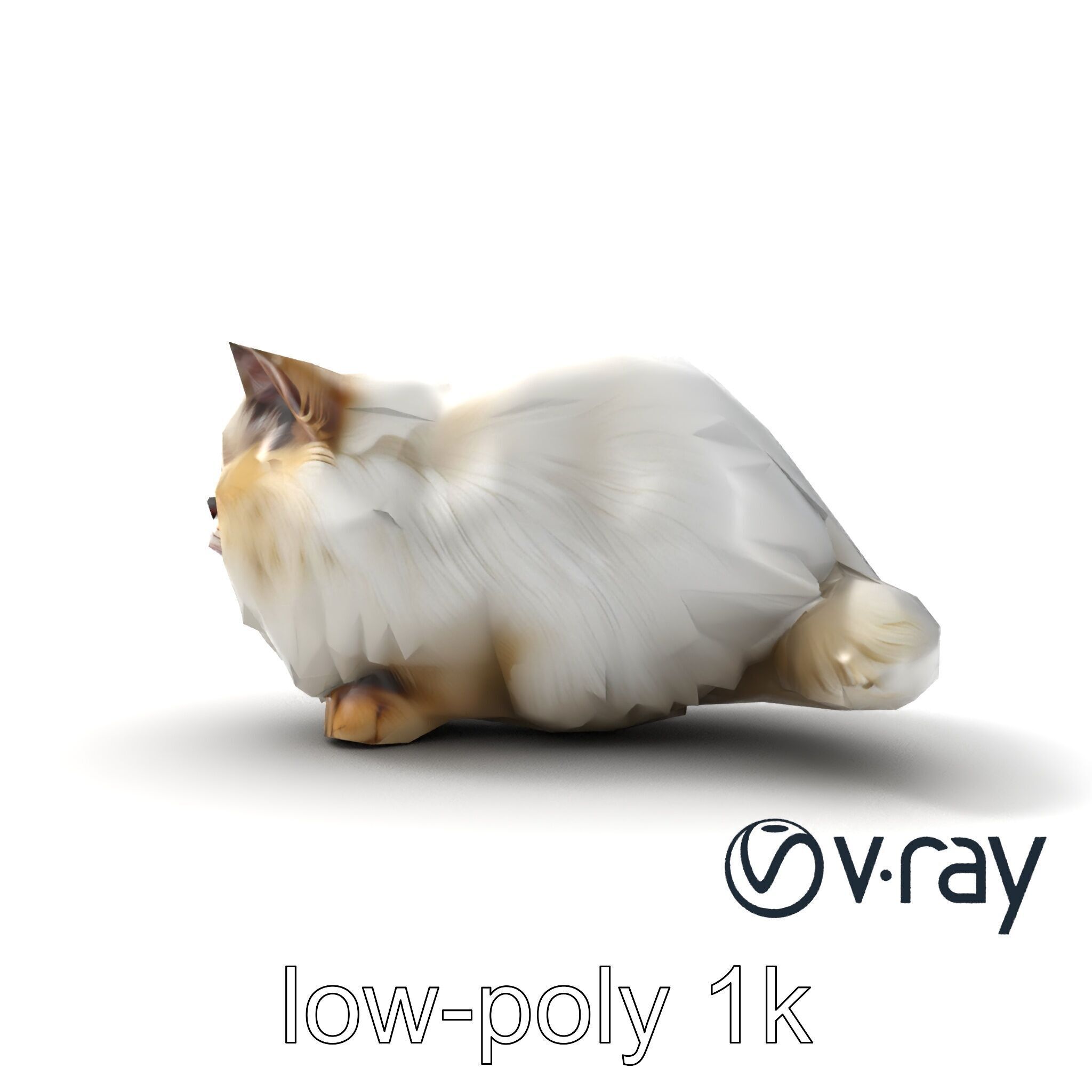 VelvetPaw Persian Cat model pack Low-poly 3D model_14