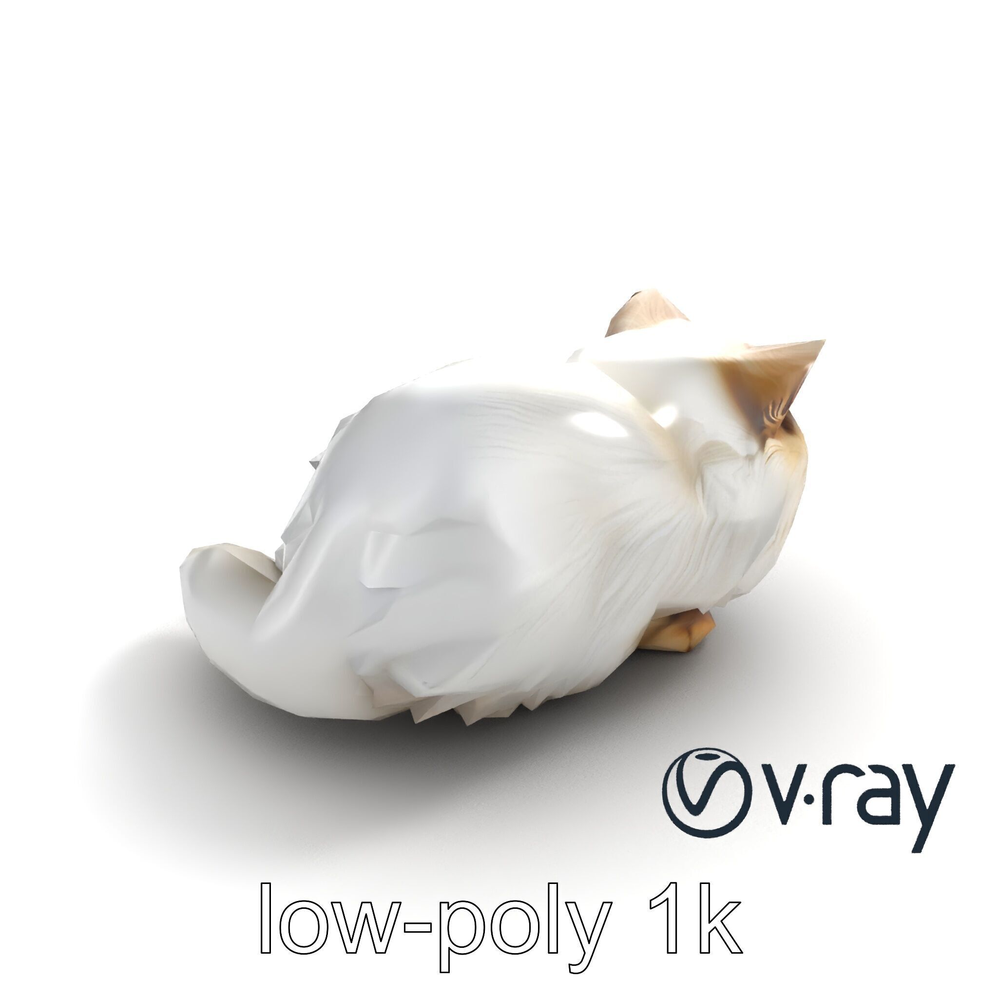 VelvetPaw Persian Cat model pack Low-poly 3D model_6