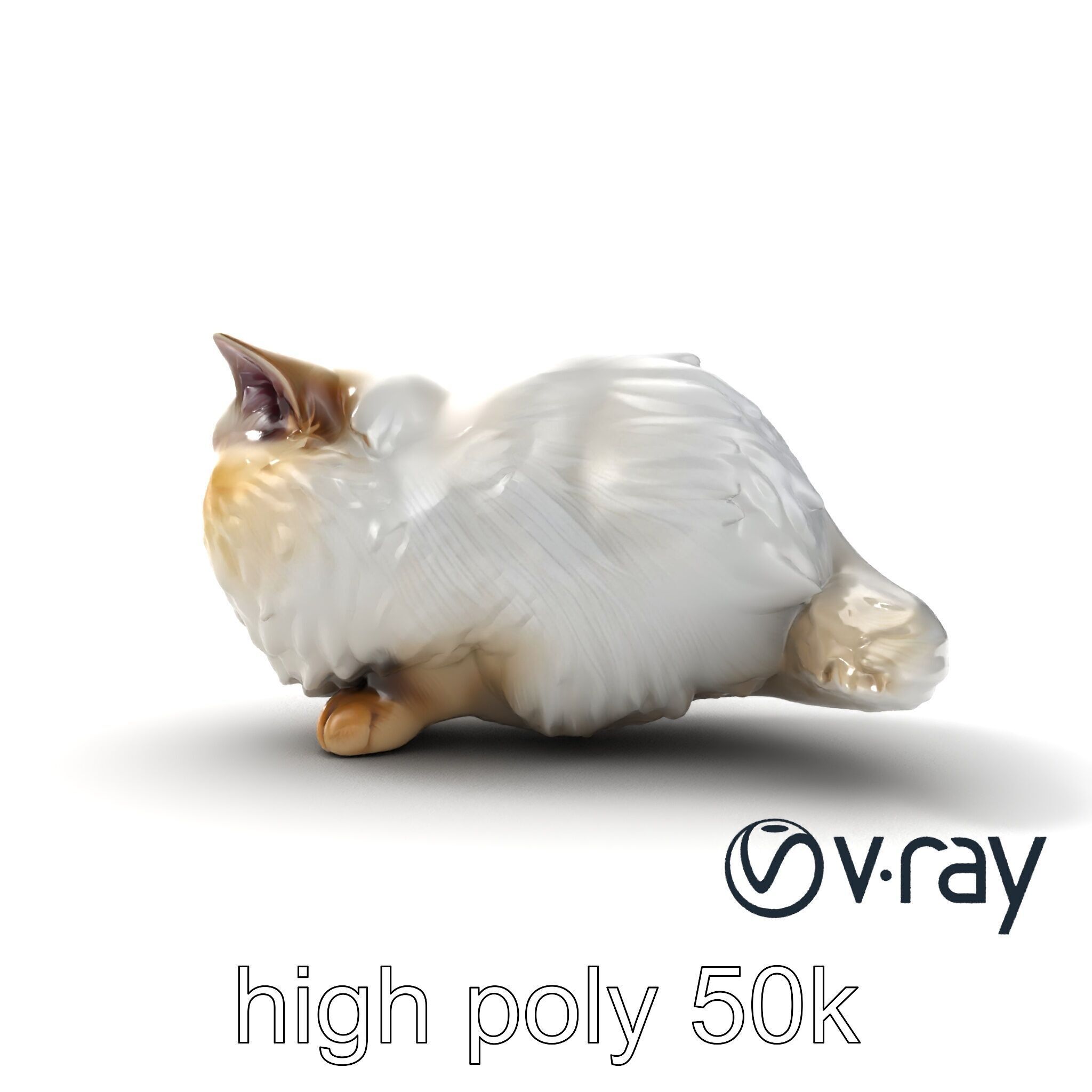 VelvetPaw Persian Cat model pack Low-poly 3D model_20