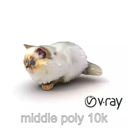 VelvetPaw Persian Cat model pack Low-poly 3D model