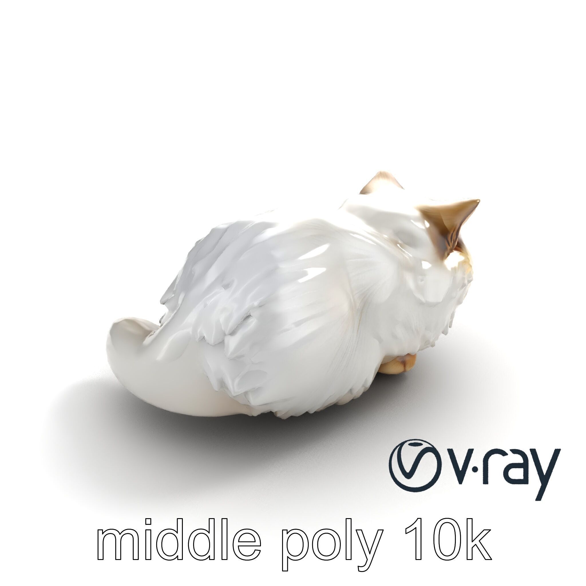 VelvetPaw Persian Cat model pack Low-poly 3D model_8