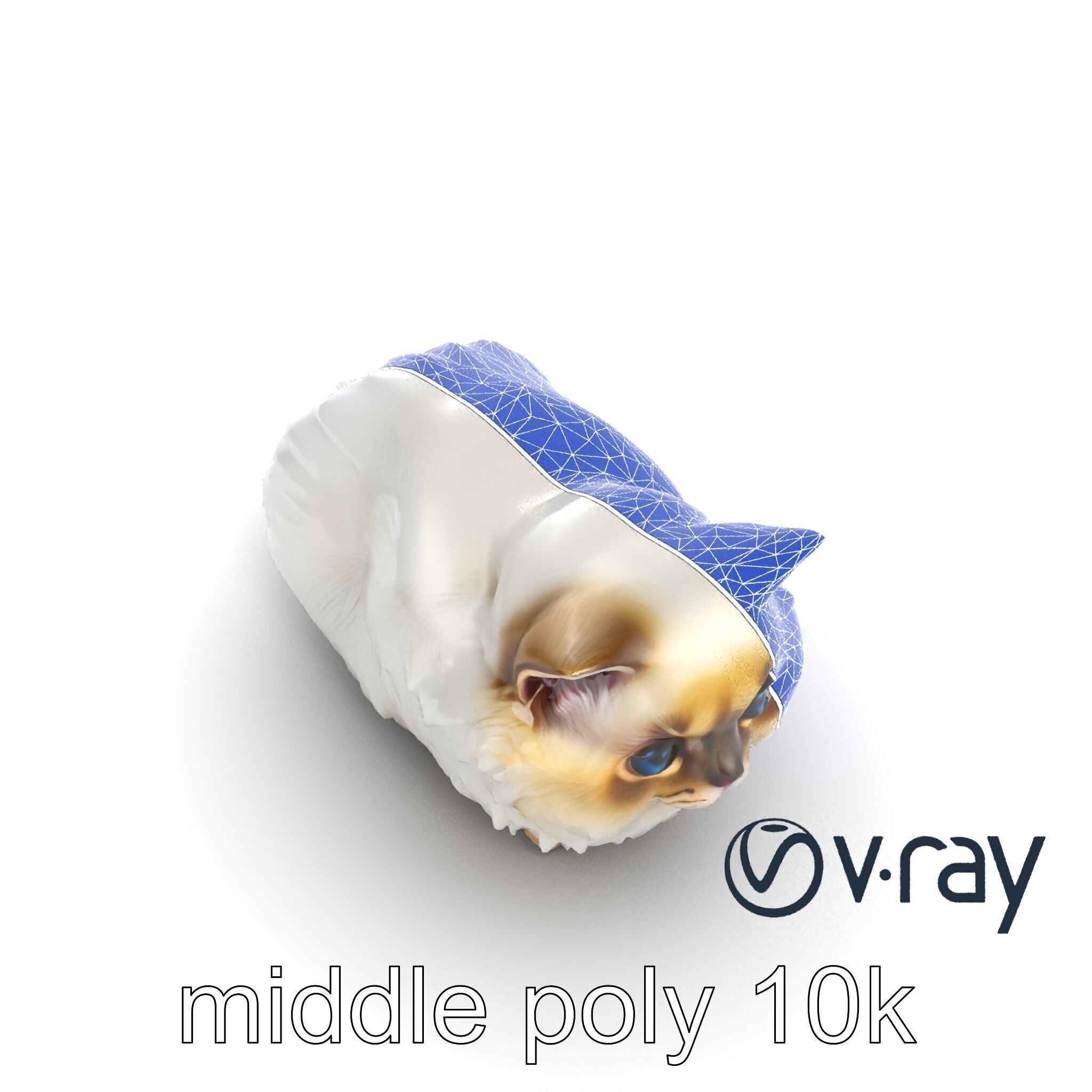 VelvetPaw Persian Cat model pack Low-poly 3D model_25